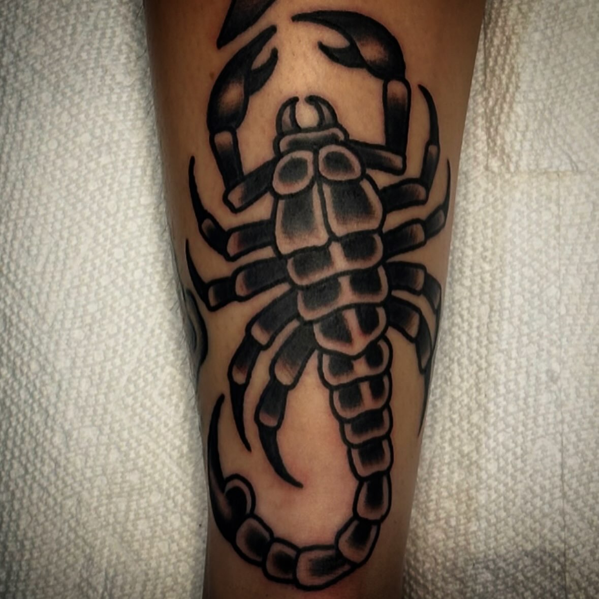 Scorpion black and grey tattoo on the forearm by Rob, Nashville, Tennessee