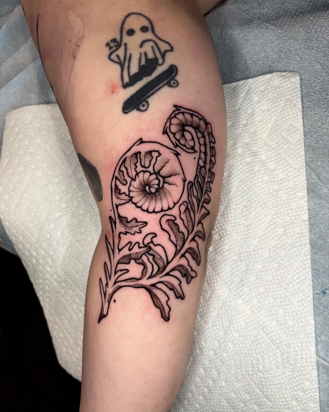 Nautilus shell black and grey tattoo on the forearm by Emmy Gallagher