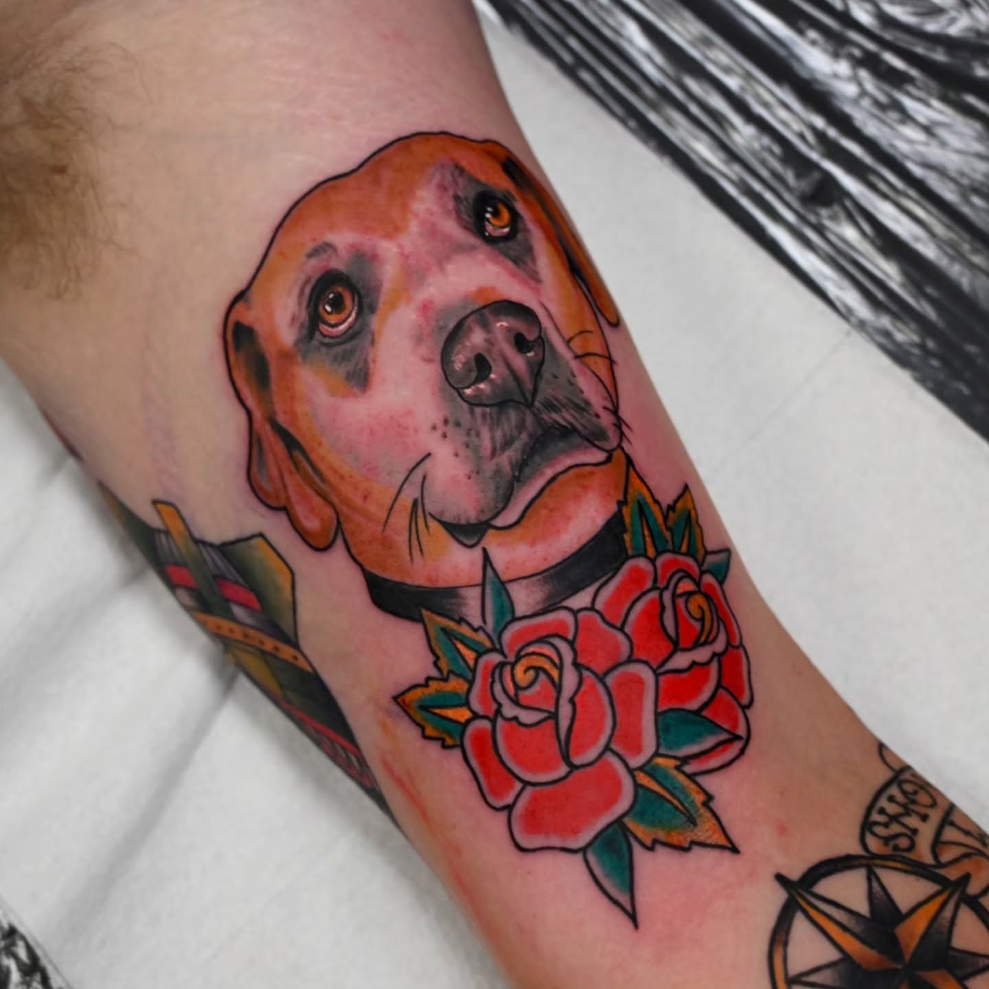 Dog portrait American traditional tattoo on the forearm by Michael ORegan