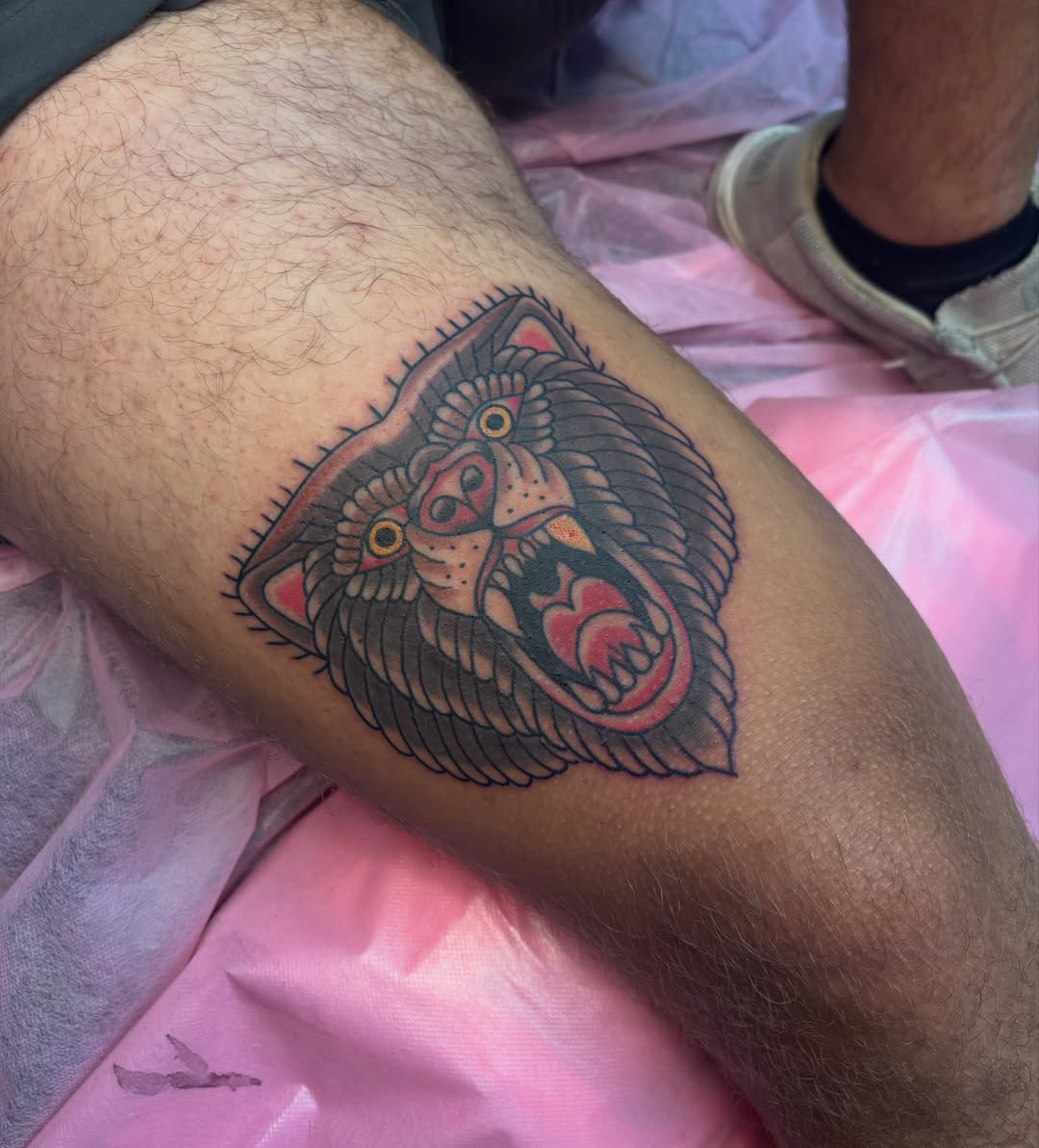 Bear American traditional tattoo on the forearm by 🔥Zoë Zahasky Tattoos🔥