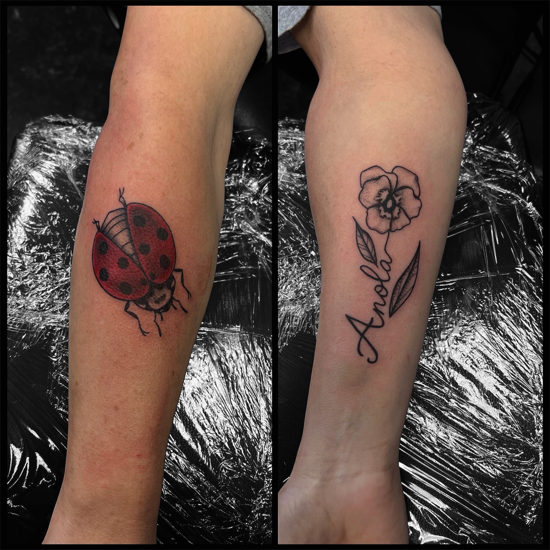 Ladybug realism tattoo on the forearm by Brittany Ann Goff