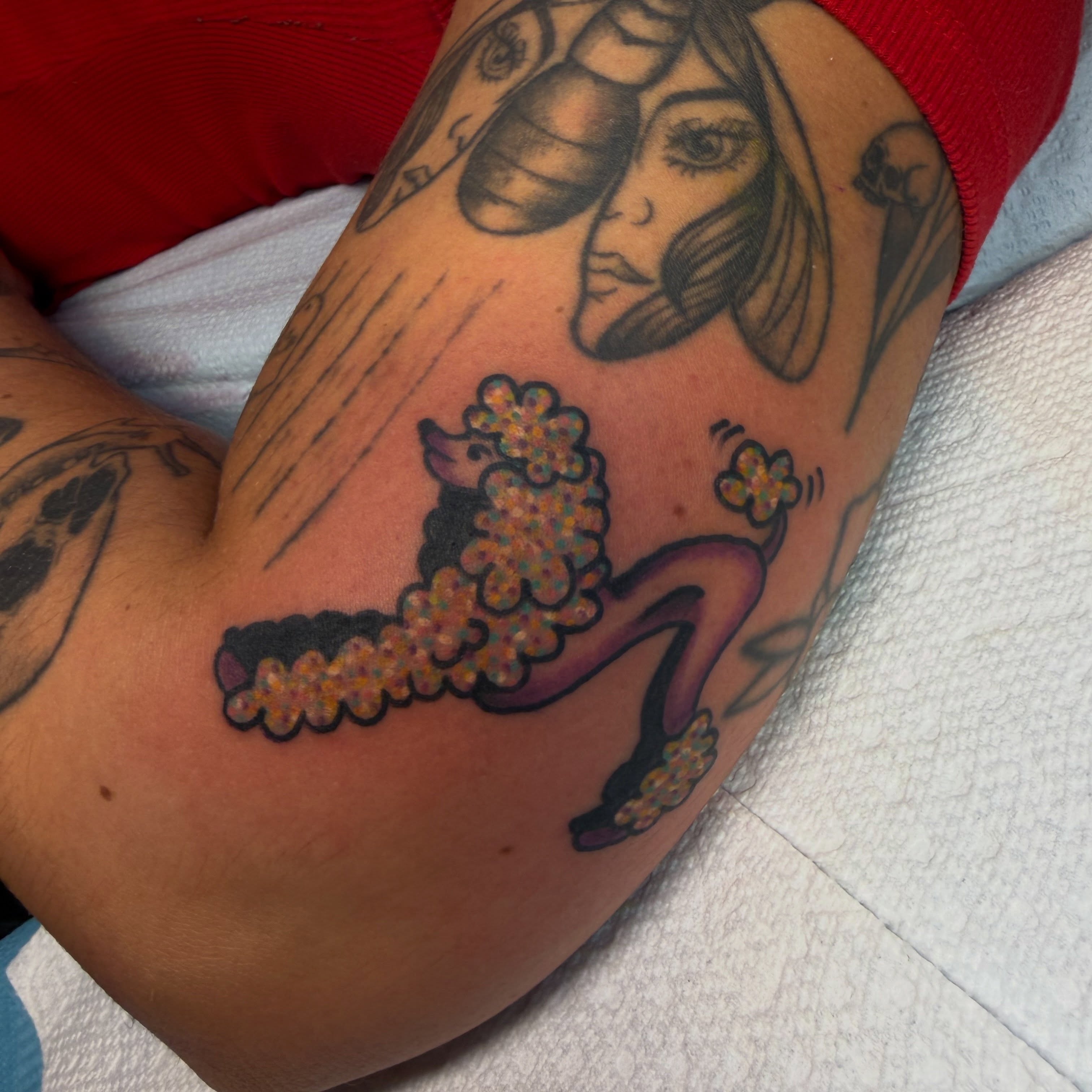 Poodle American traditional tattoo on the forearm by c☮︎urt