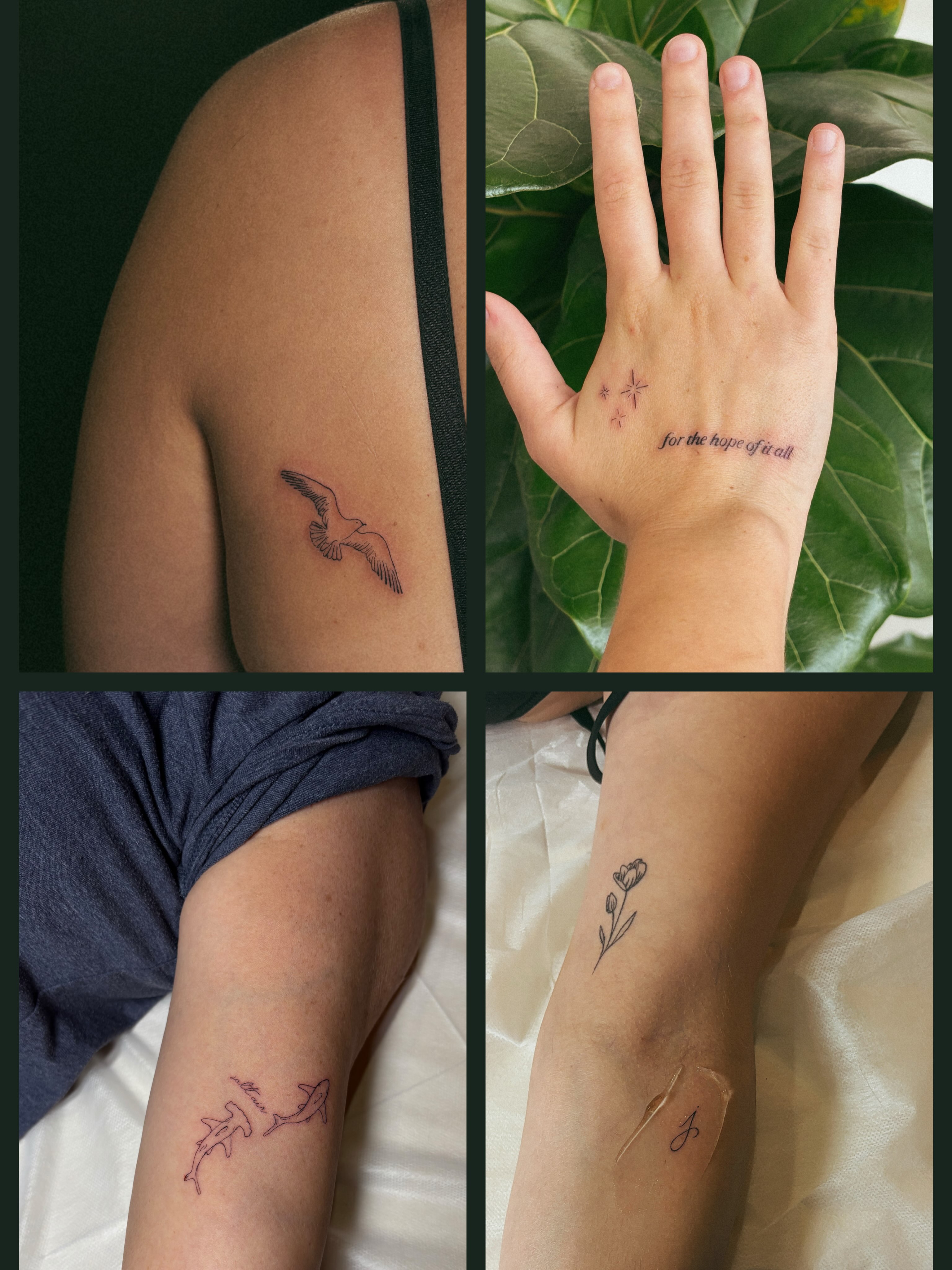 Bird black and grey tattoo on the upper arm by Allie