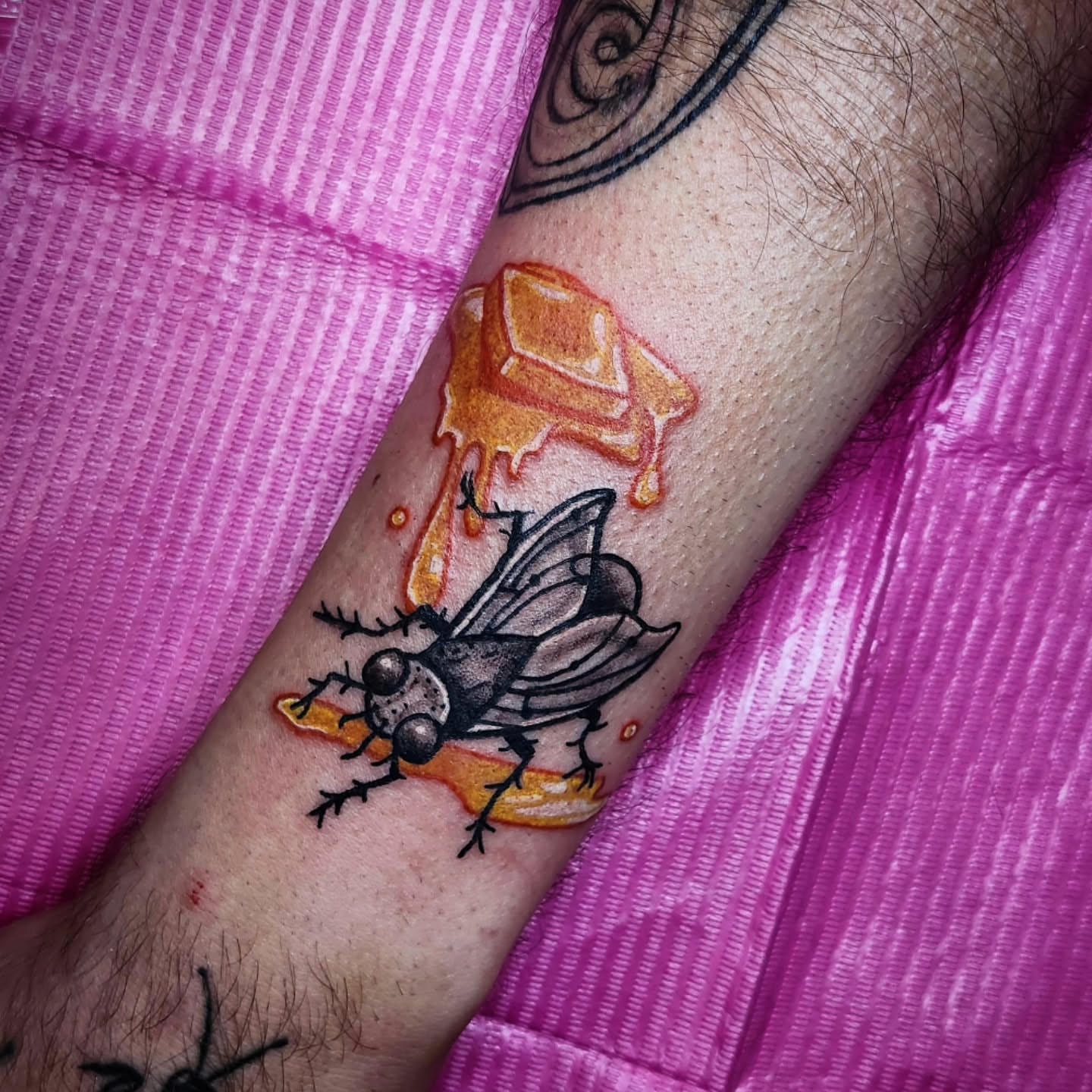 Fly dotwork tattoo on the forearm by 🌟Amanda 🌟