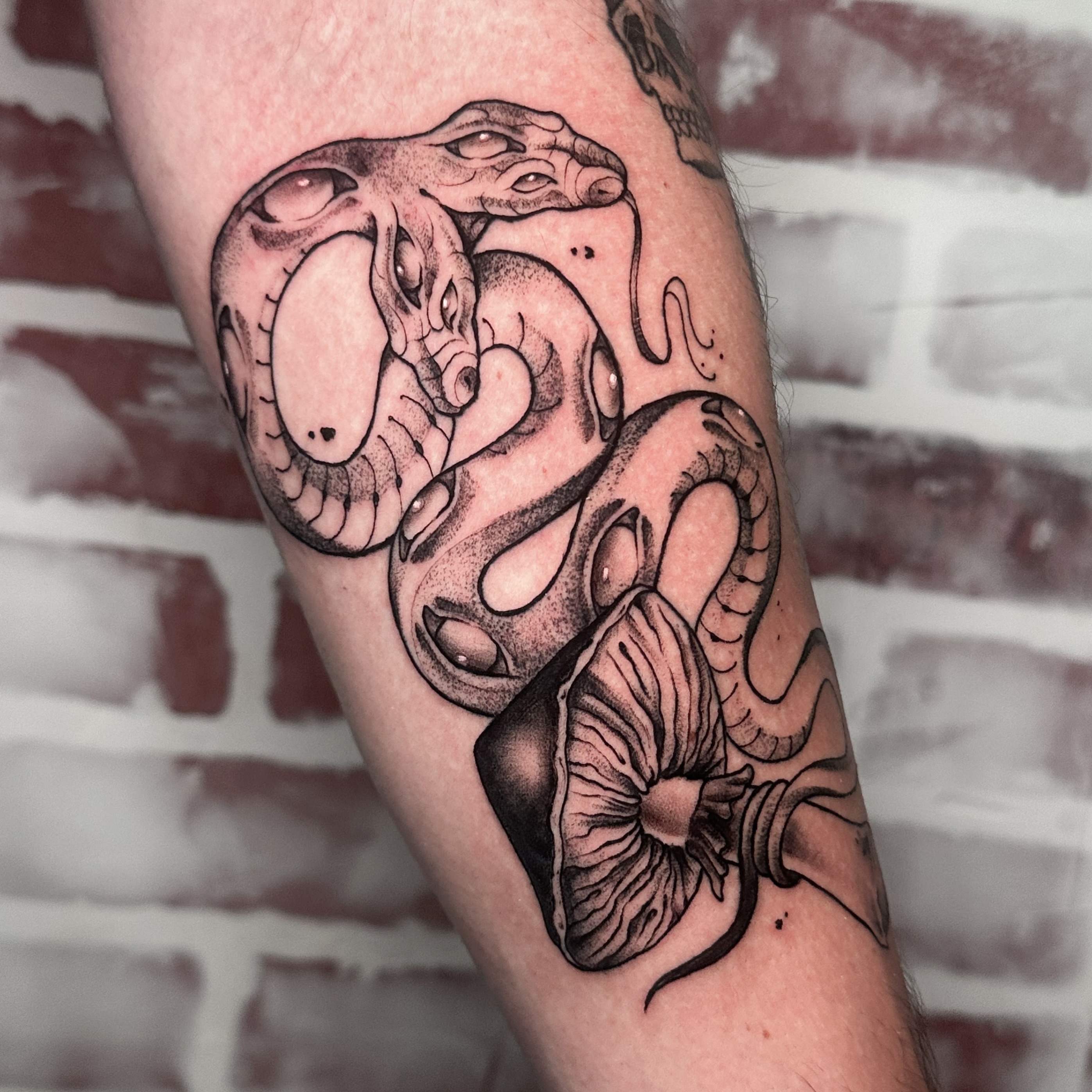Tattoo by @caitycat.tattoos — black_and_grey, realism