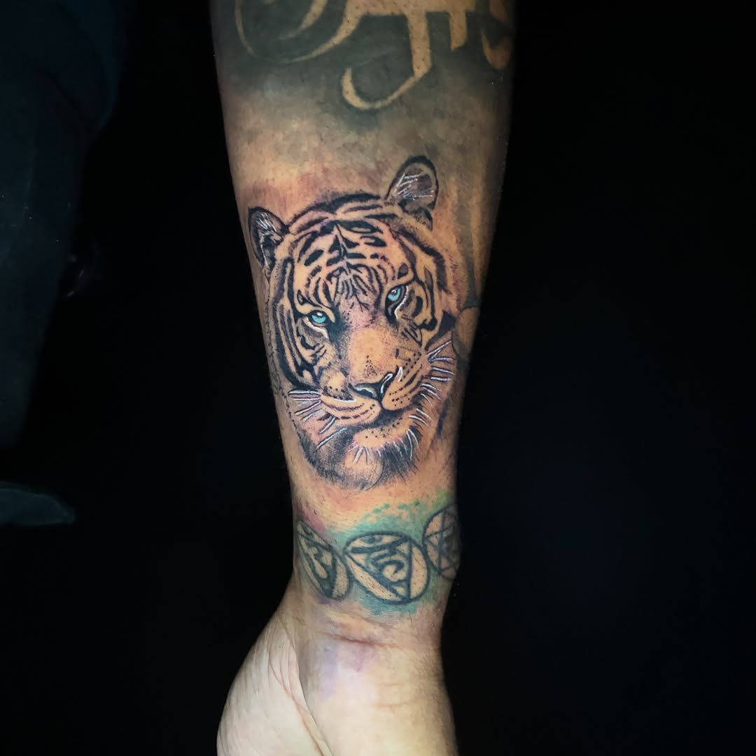 Tiger realism tattoo on the forearm by Evan Intveld