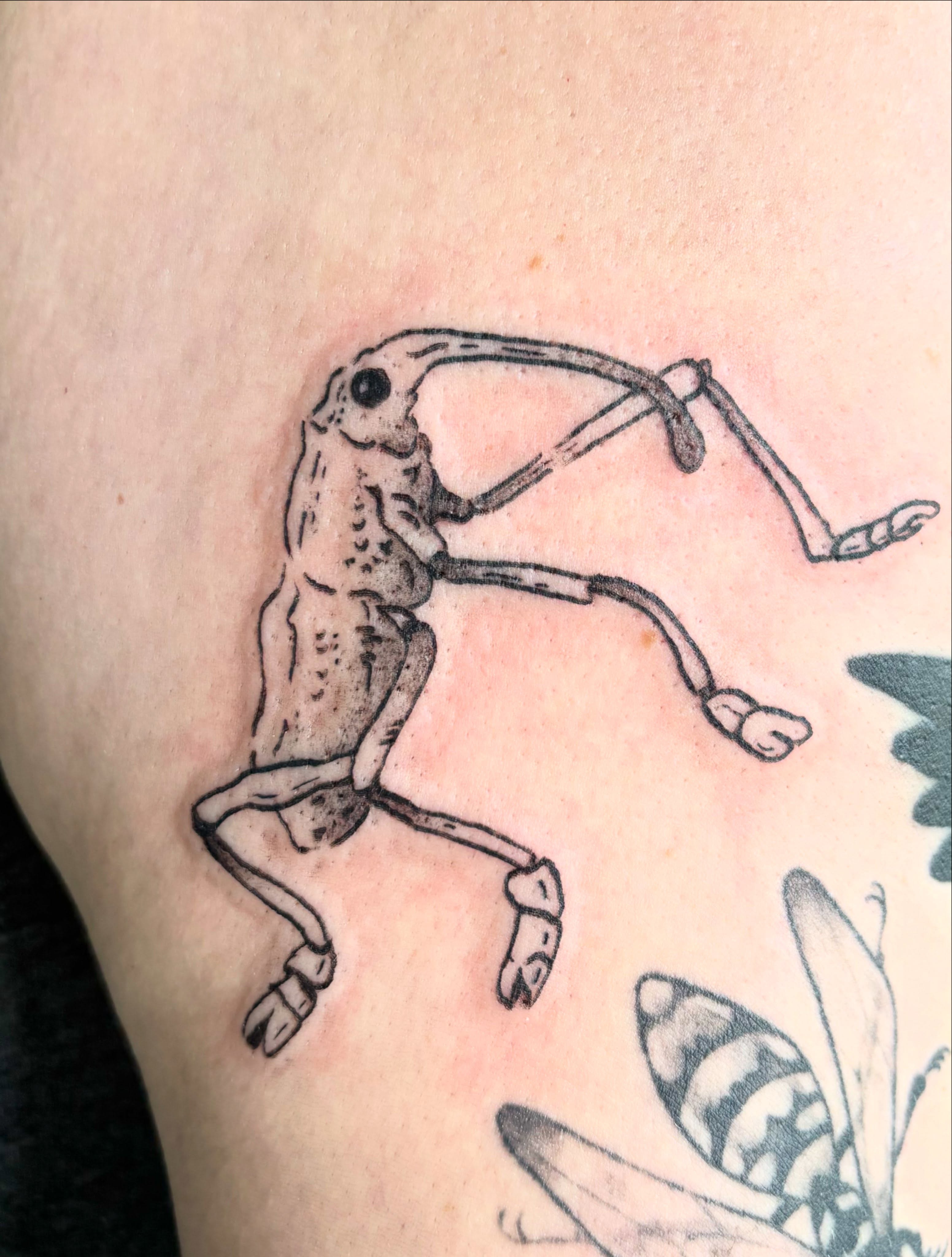Insect skeleton black and grey tattoo on the thigh by Hiro Robinson