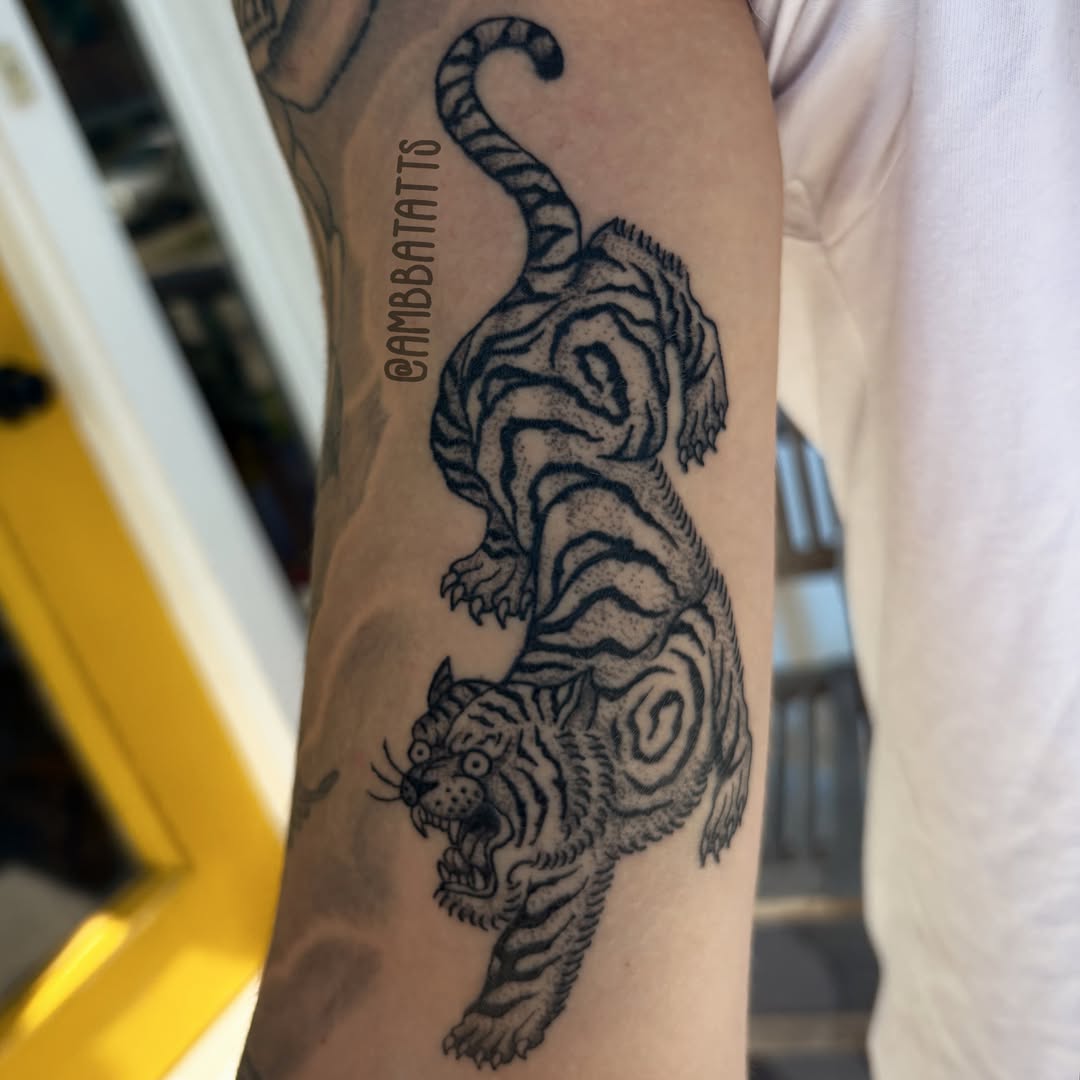Tiger black and grey tattoo on the forearm by amber brady, Brunswick, Ohio