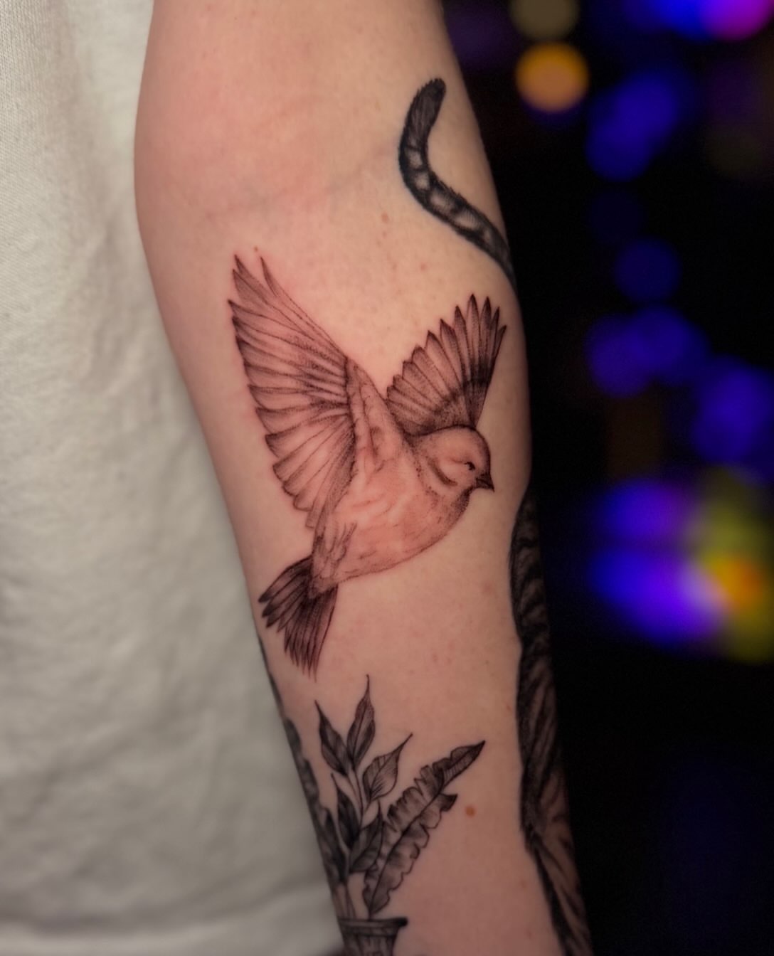 Tattoo by @blytattoos β realism