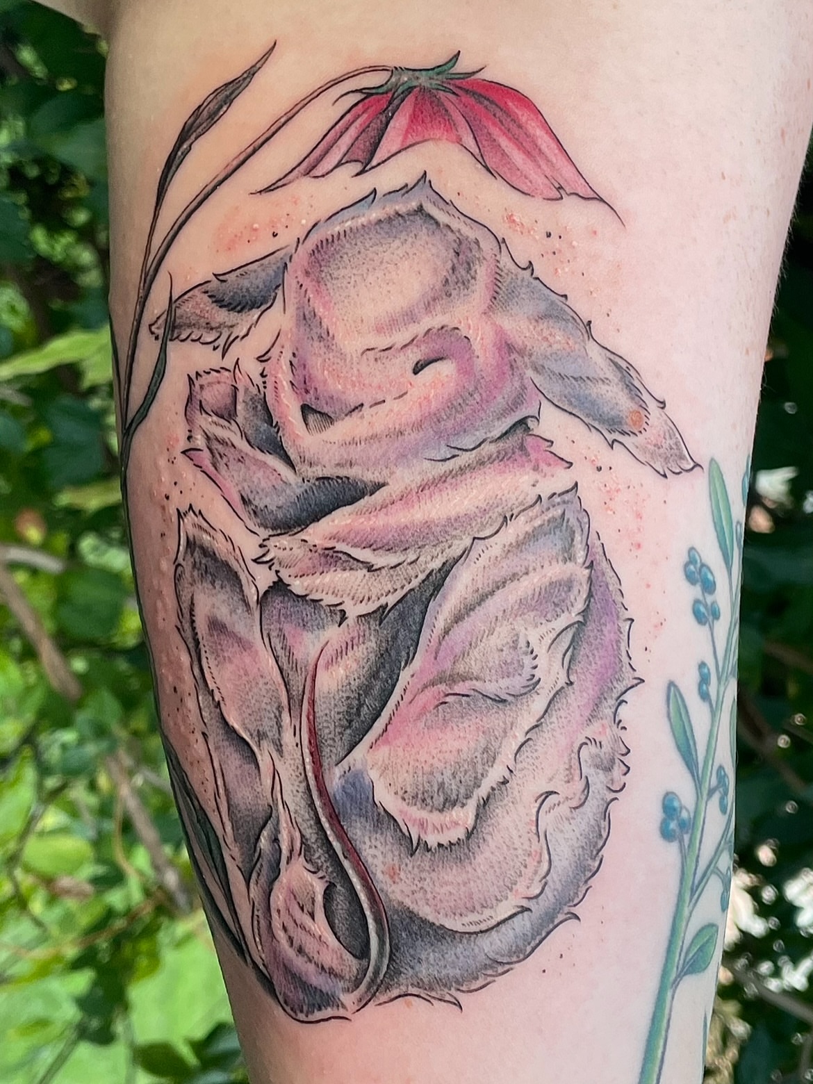 Rose watercolor tattoo on the forearm by Marjeline González🌈🌞