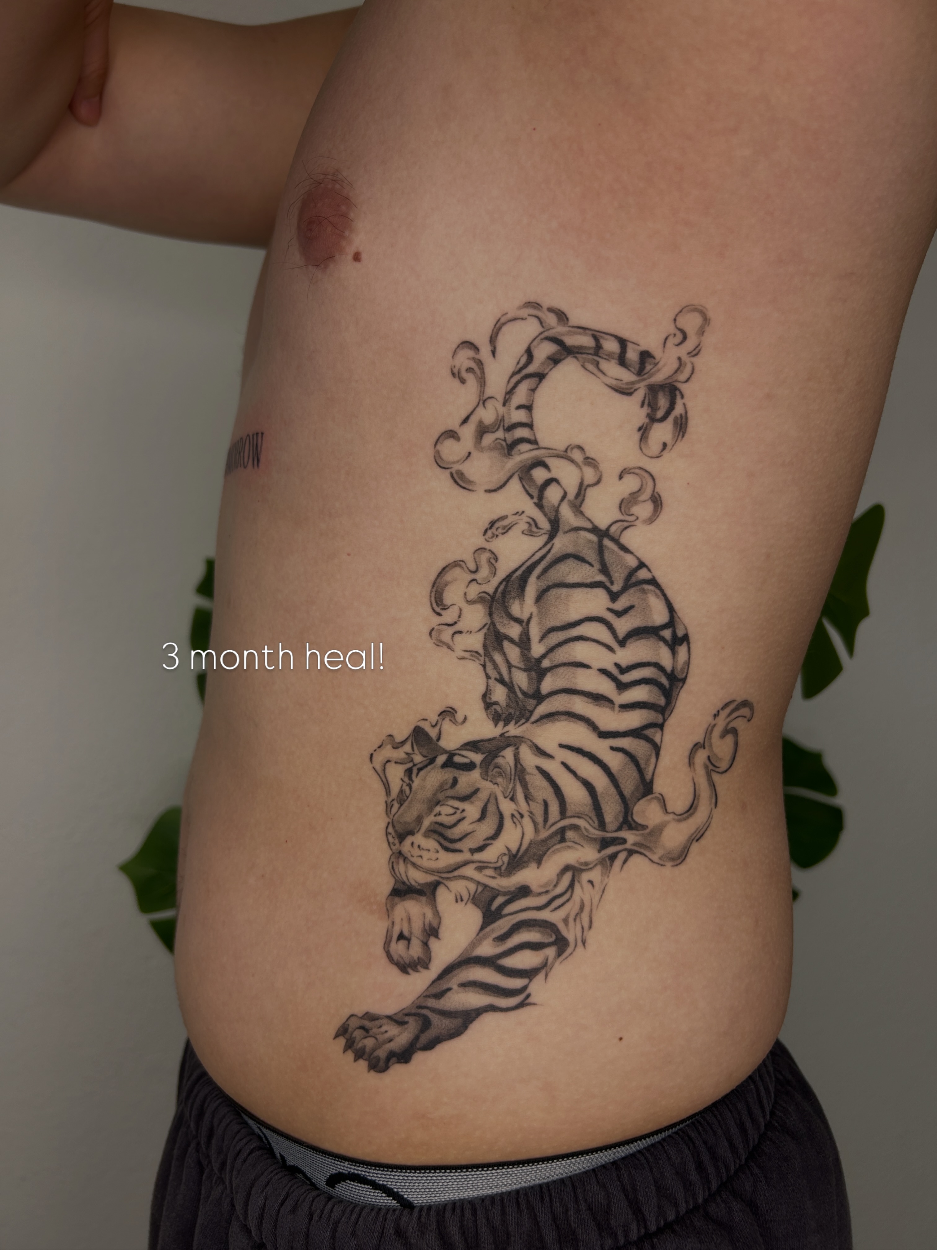 Tiger black and grey tattoo on the ribs by Miri