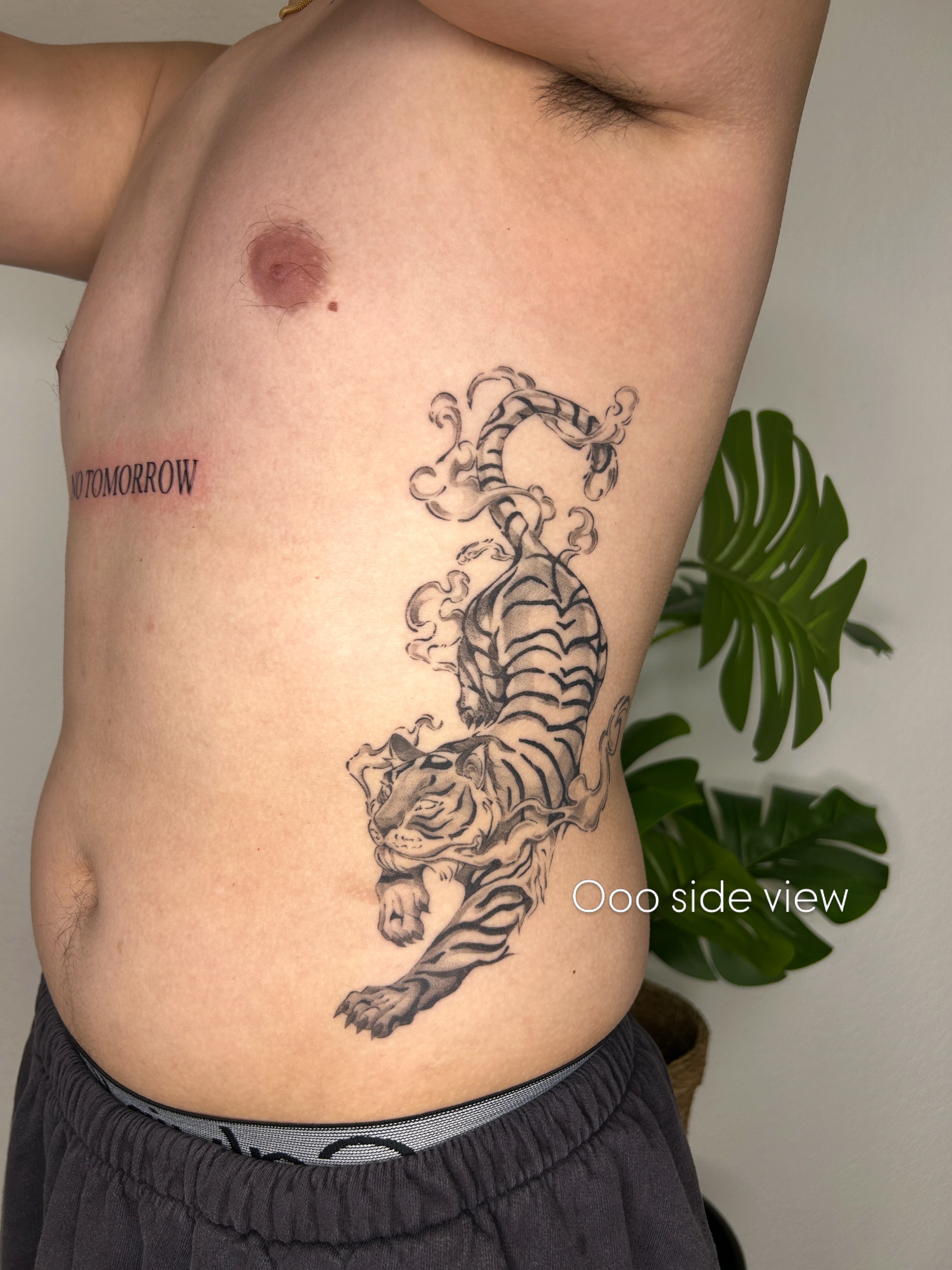 Tiger black and grey tattoo on the ribs by Miri