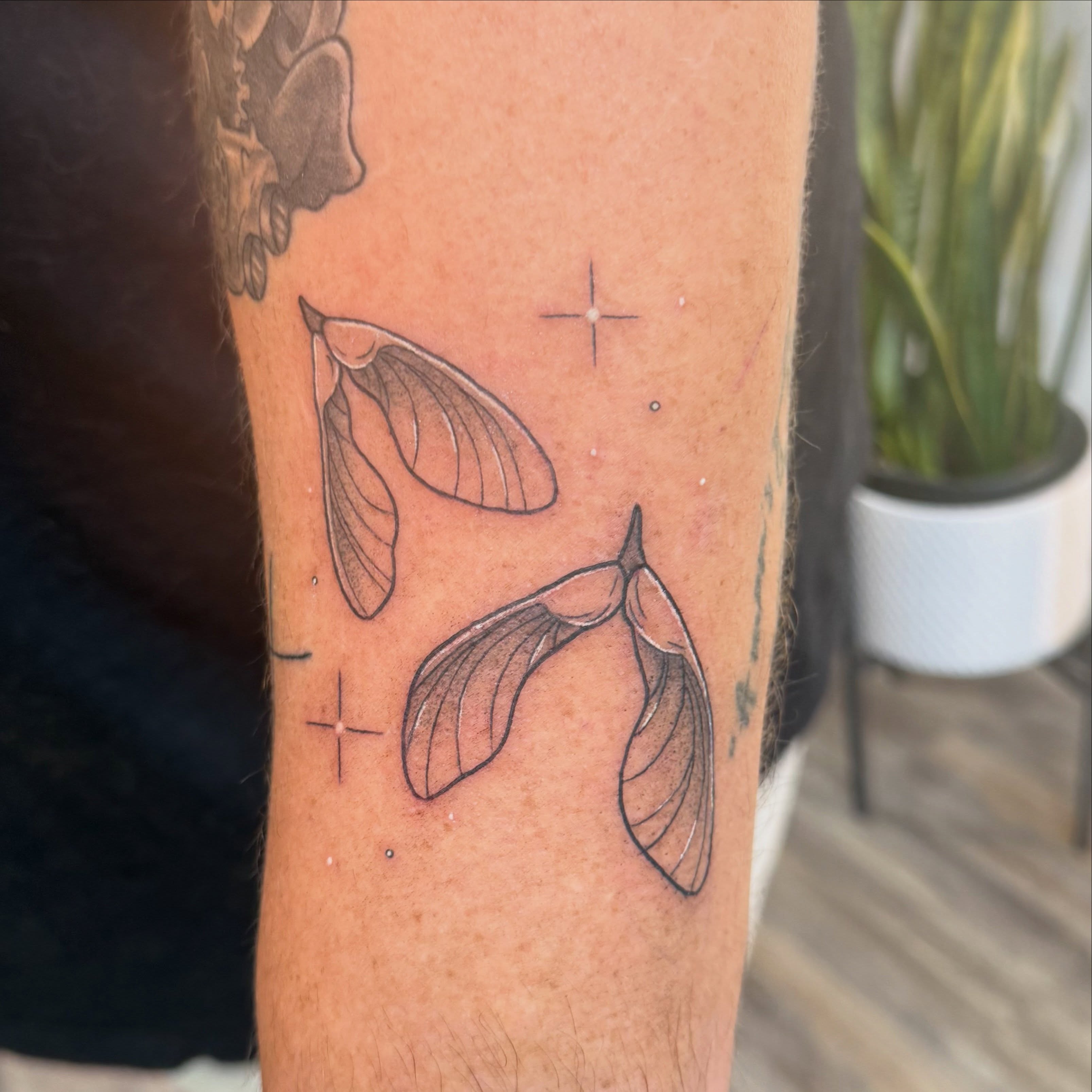 Mistletoe minimalist tattoo on the forearm by Kate Marie