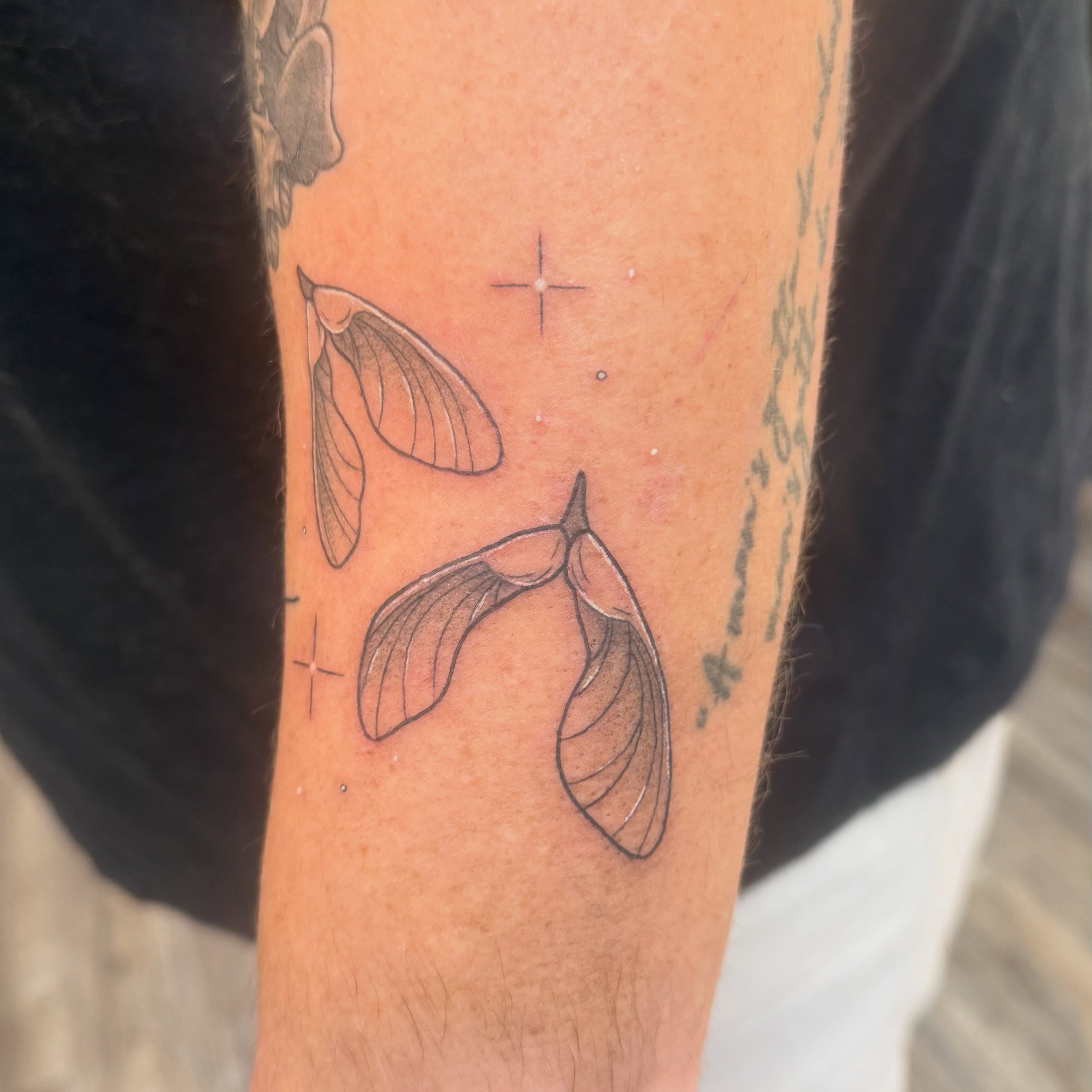 Mistletoe seeds black and grey tattoo on the forearm by Kate Marie