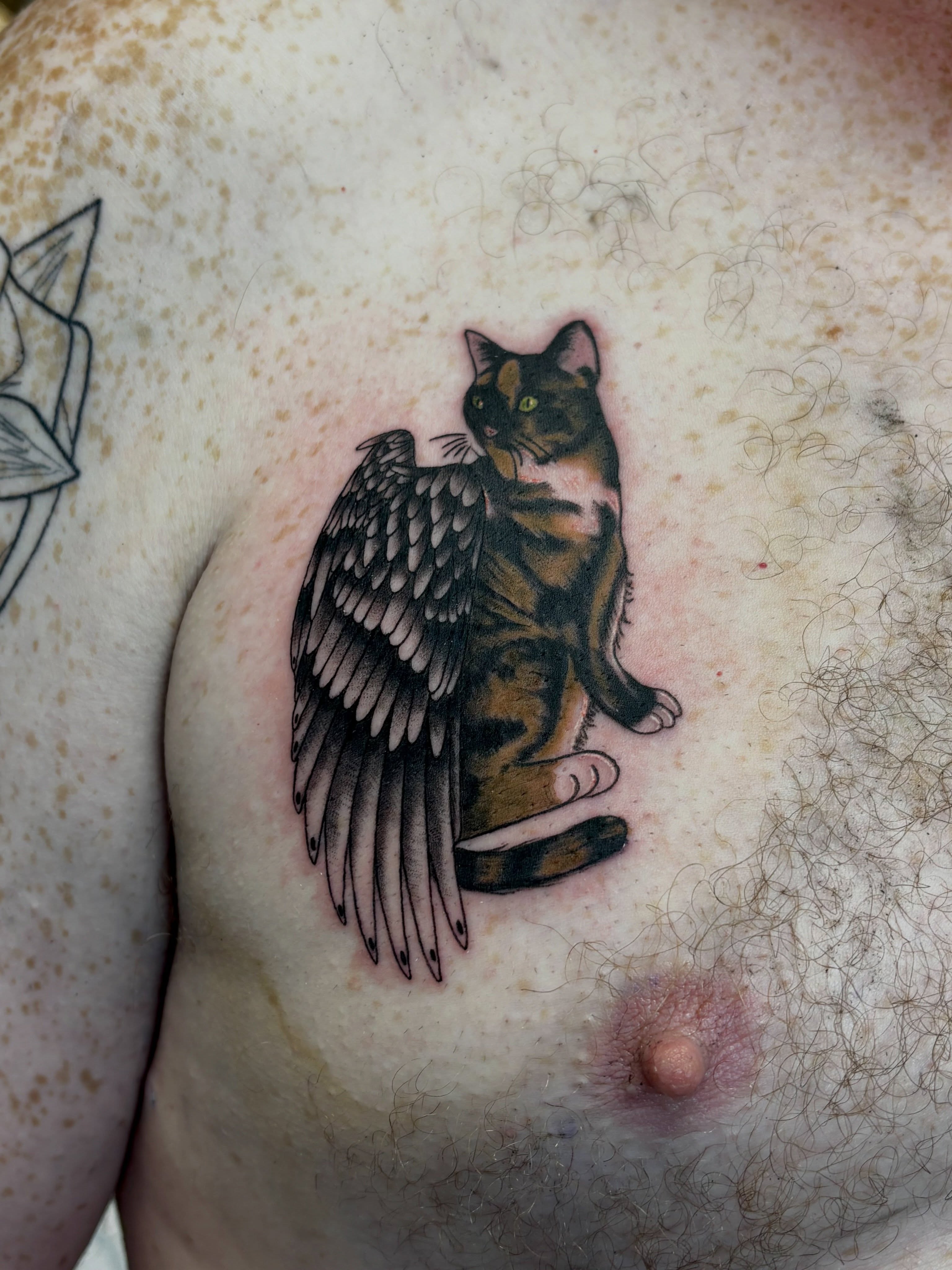 Cat with wings realism tattoo on the chest by Elise Lamoureux- Tattoo Artist, Airdrie, Alberta
