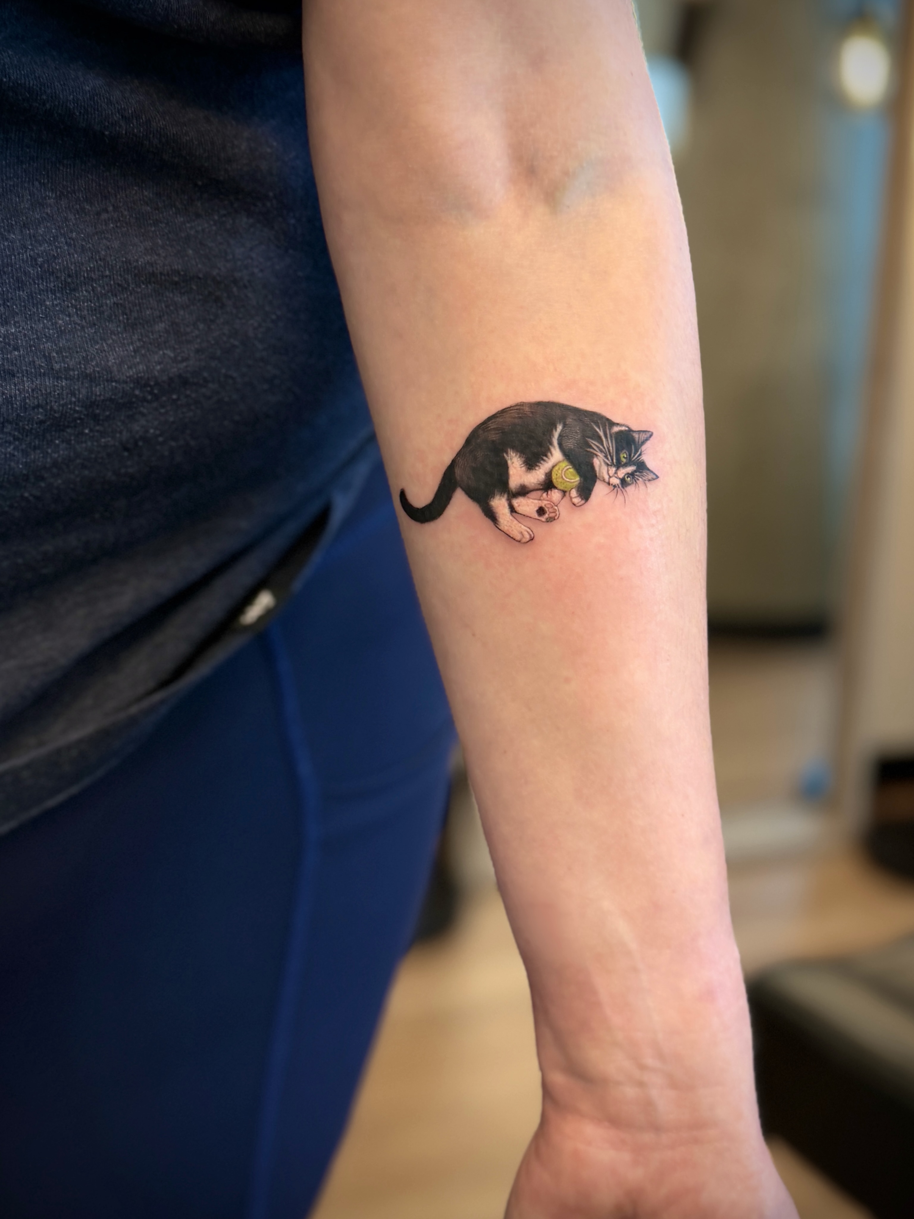 Cat realism tattoo on the forearm by Aristova Anastasia