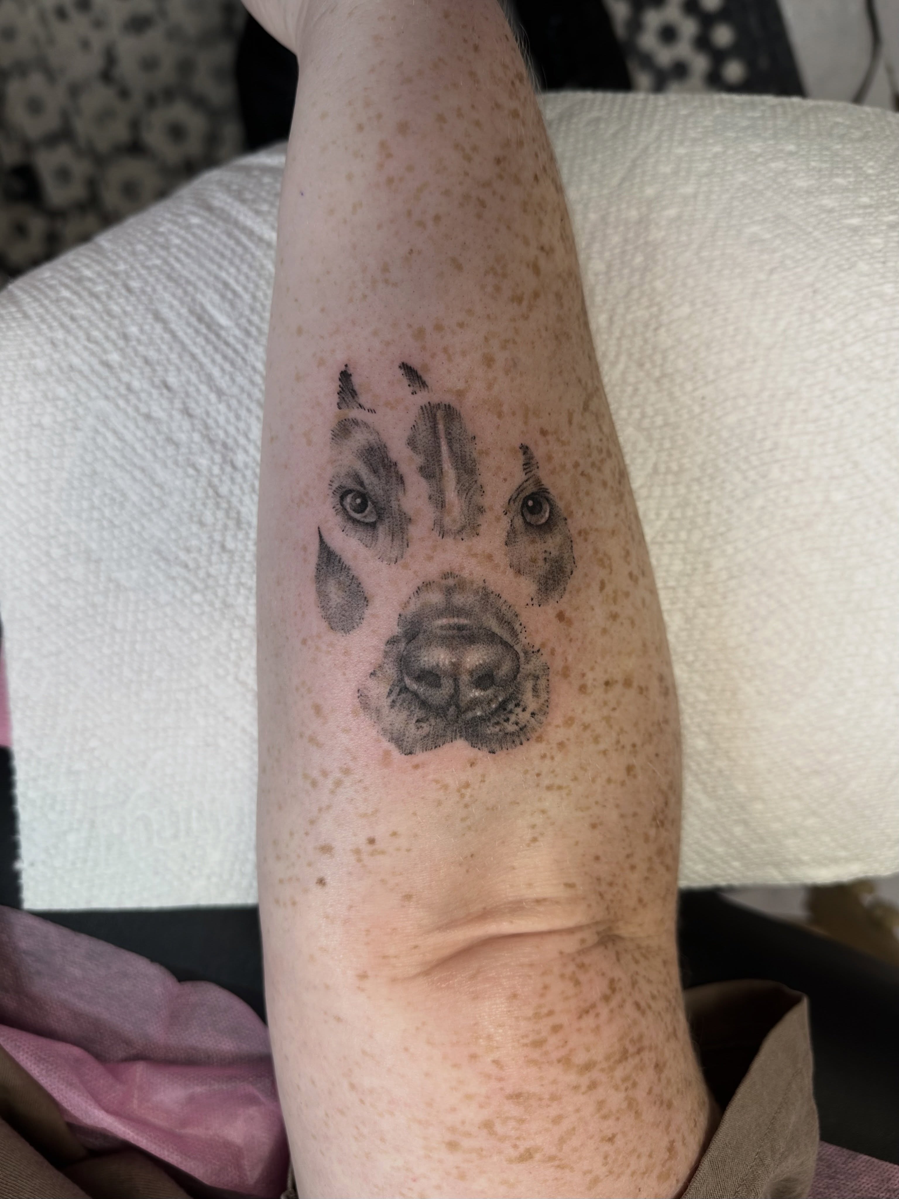 Tattoo by @seanharringtontattoo β realism