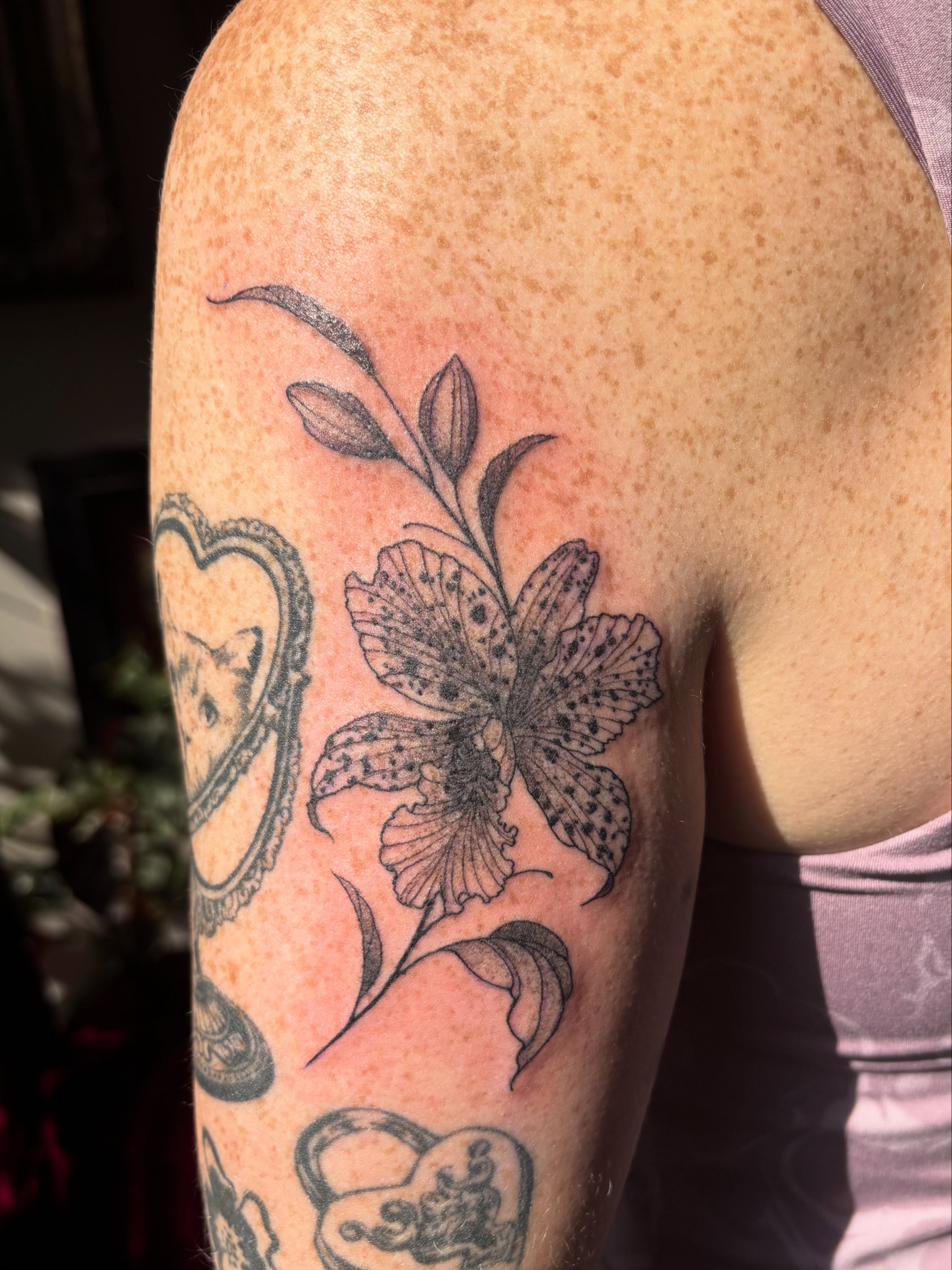 Orchid black and grey tattoo on the upper arm by Anna Kathleen, Des Moines, Iowa