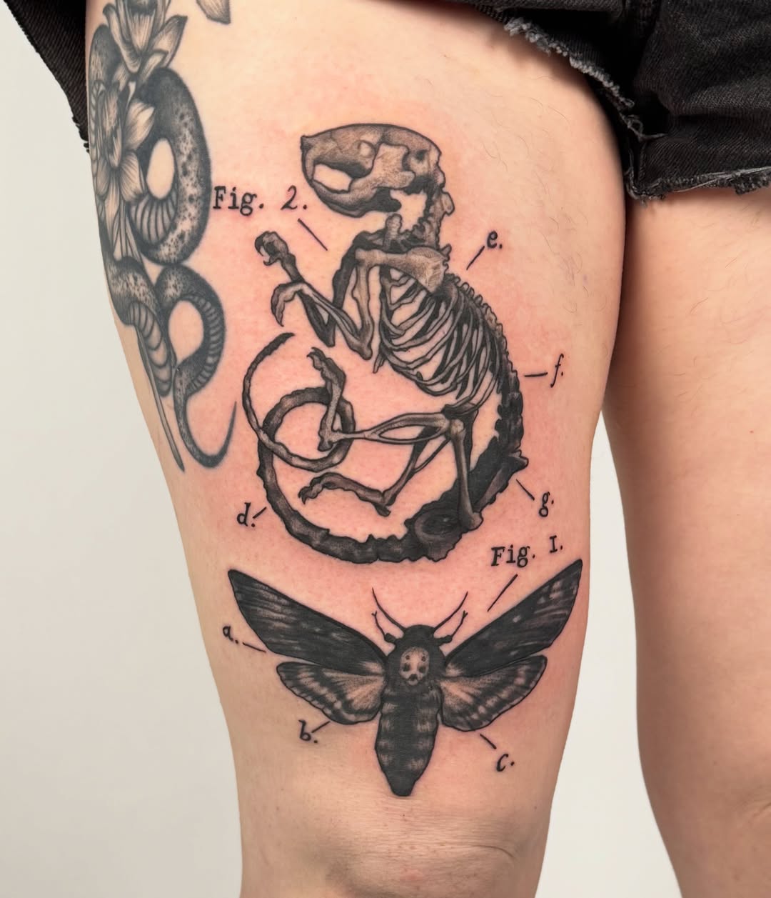 Moth and snake skeleton realism tattoo on the thigh by Glory Pechonis πΏ