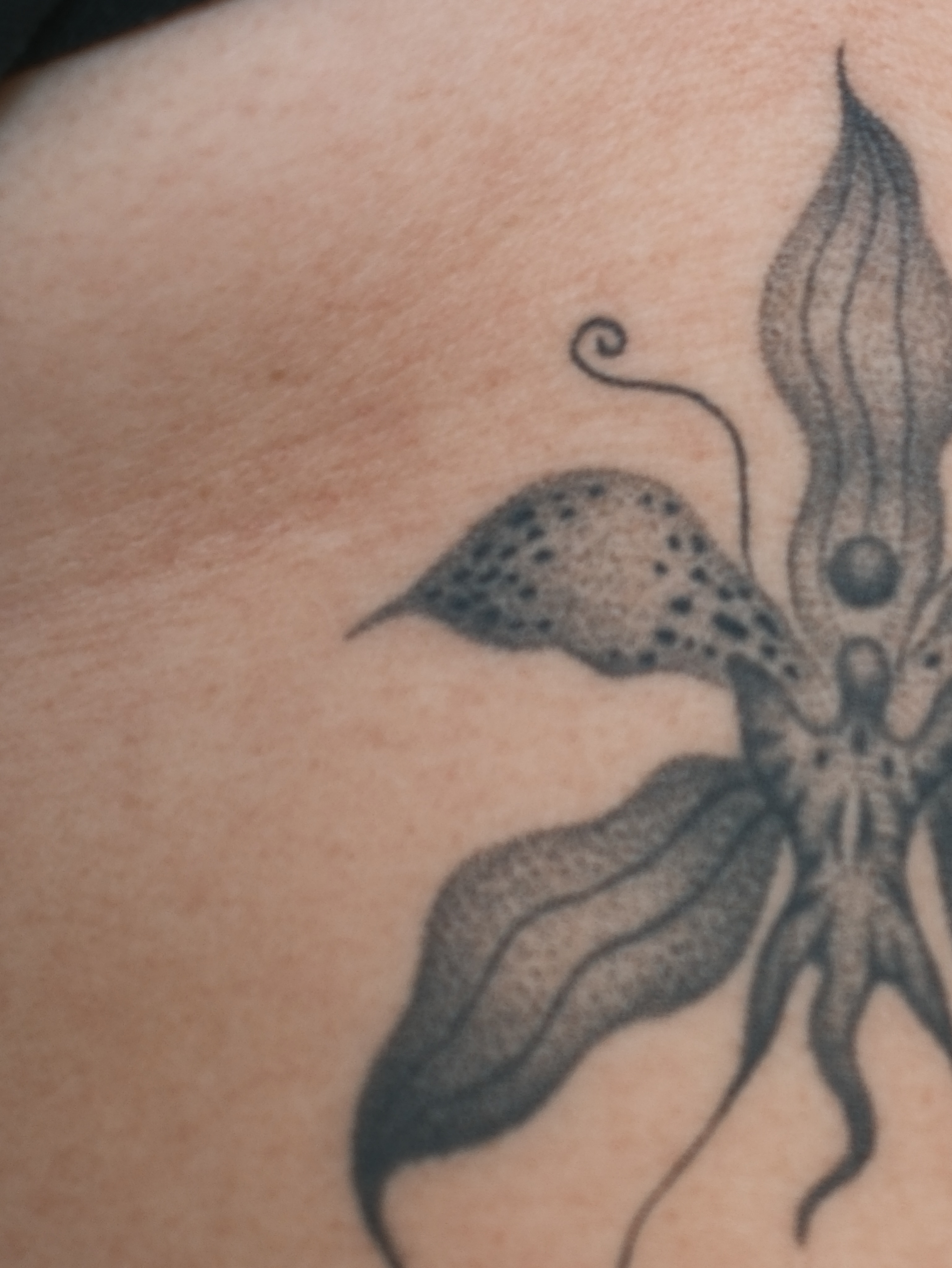 Butterfly dotwork tattoo on the shoulder by Diana ๐ซ