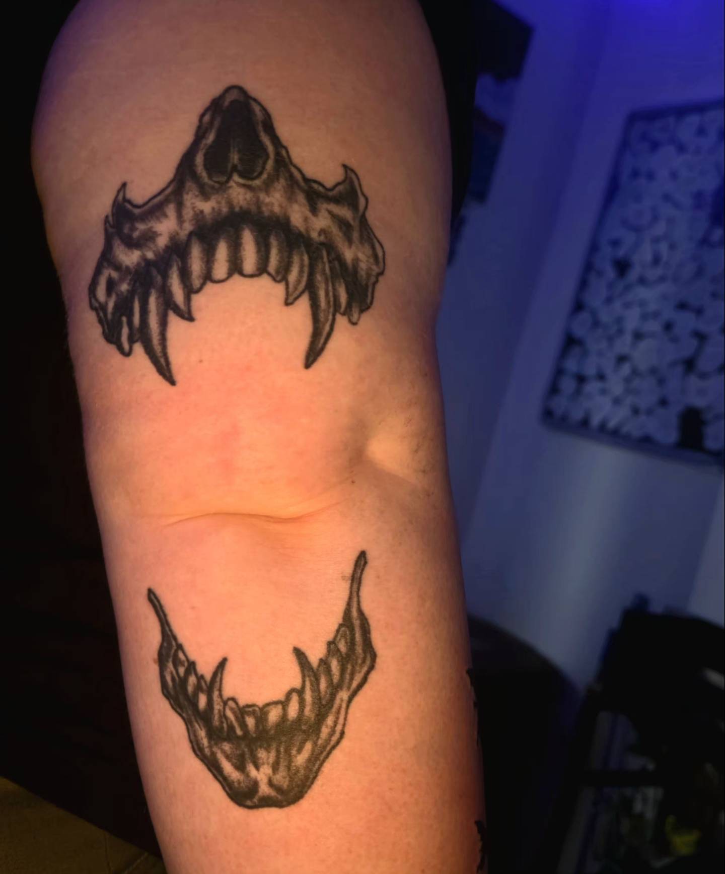 Fangs black and grey tattoo on the forearm by Karley Michelle Moody