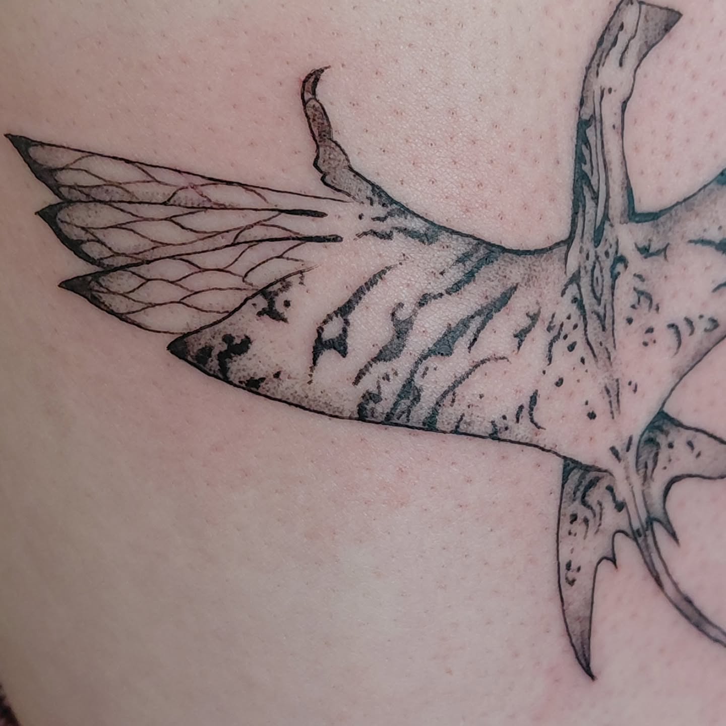 Tattoo by @antisocialinks — black_and_grey