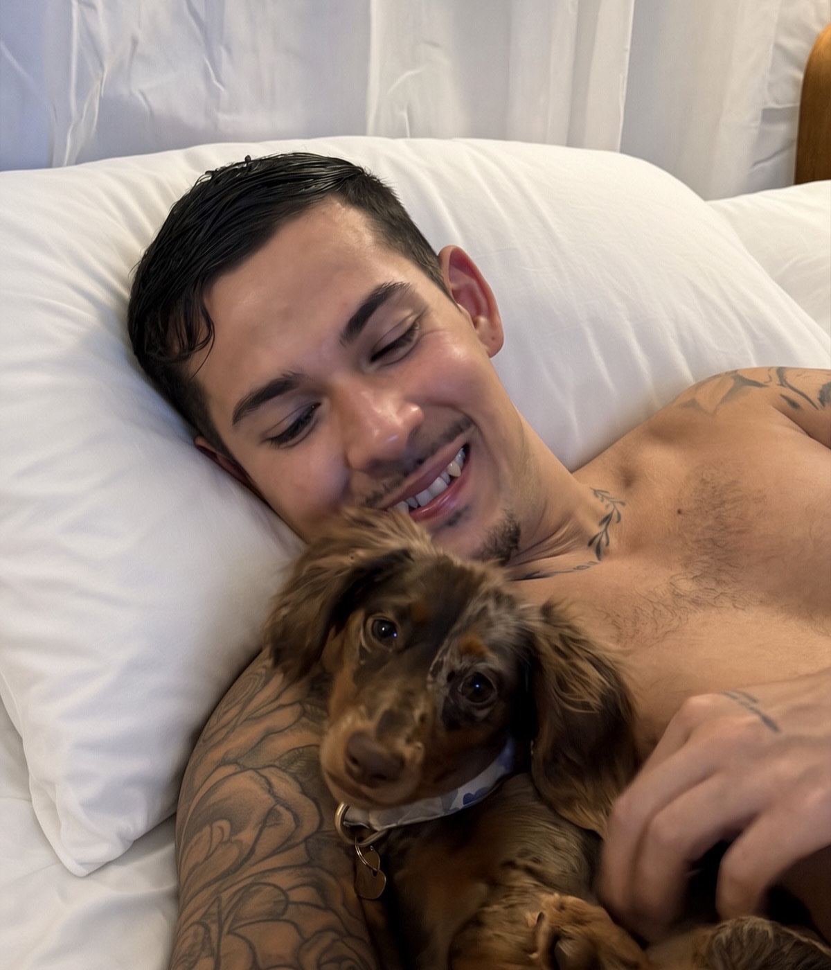 Dog American traditional tattoo on the chest by Crooks Ink ✞
