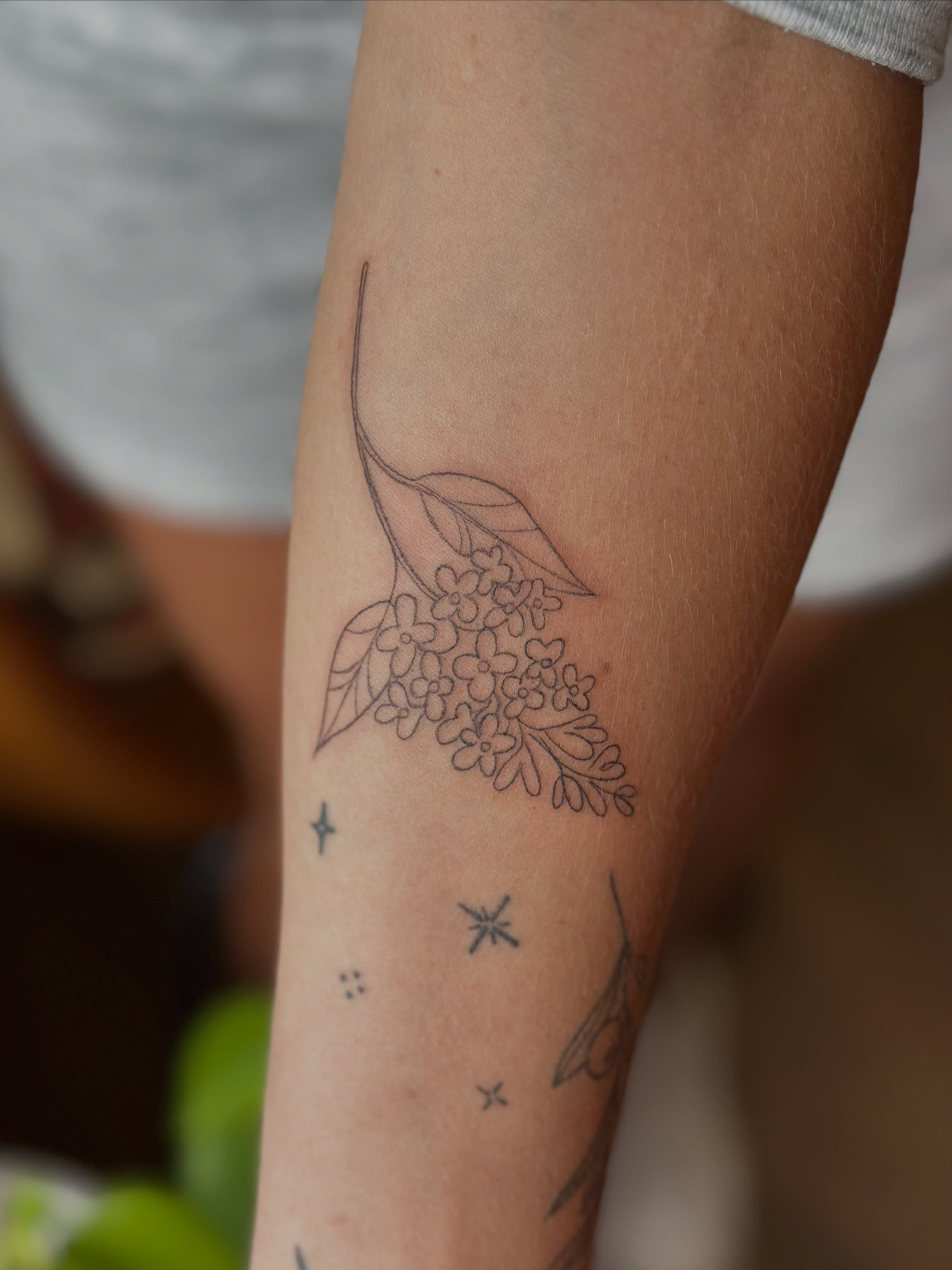 Flower branch fine line tattoo on the forearm by Liz