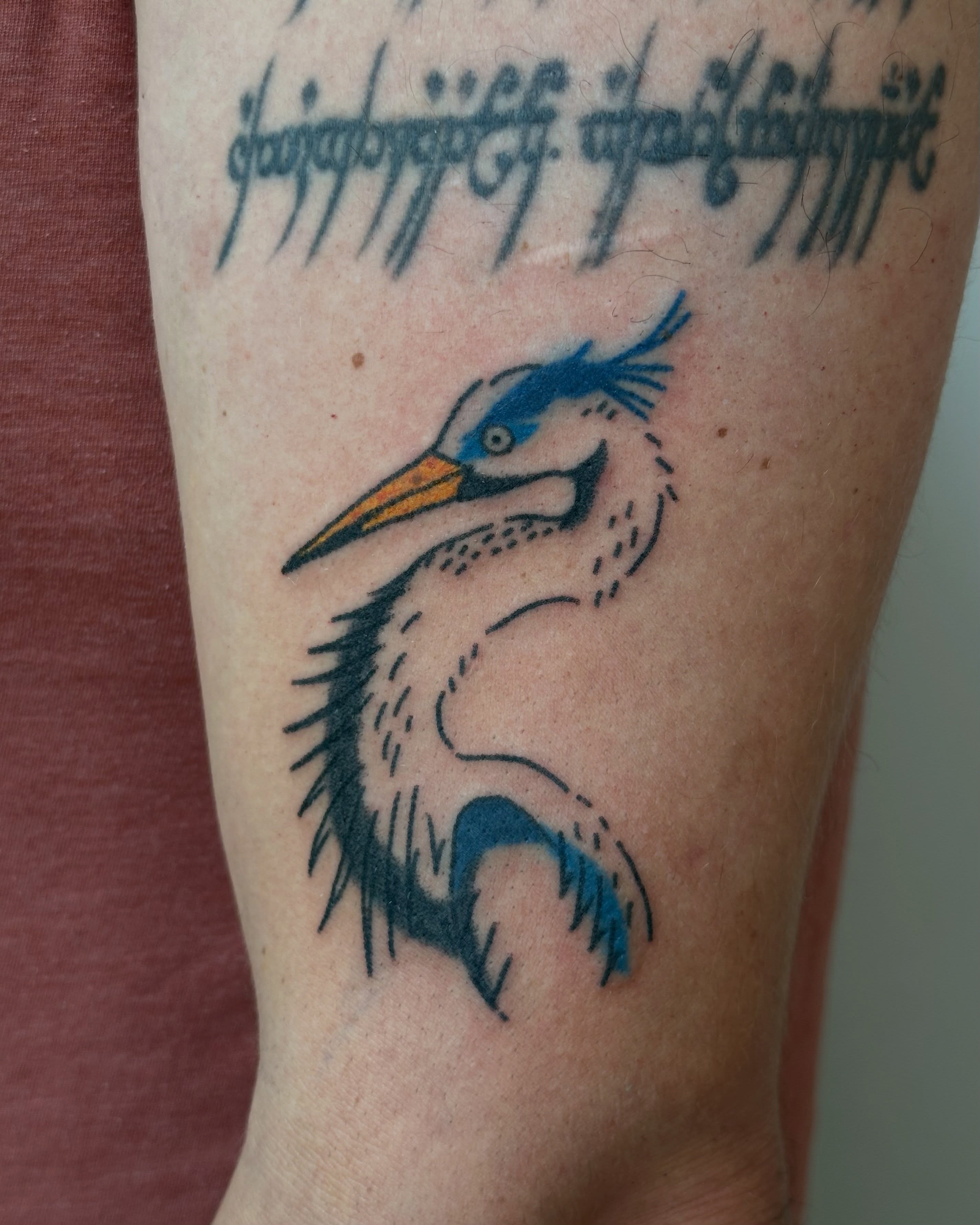 Heron dotwork tattoo on the forearm by paulina