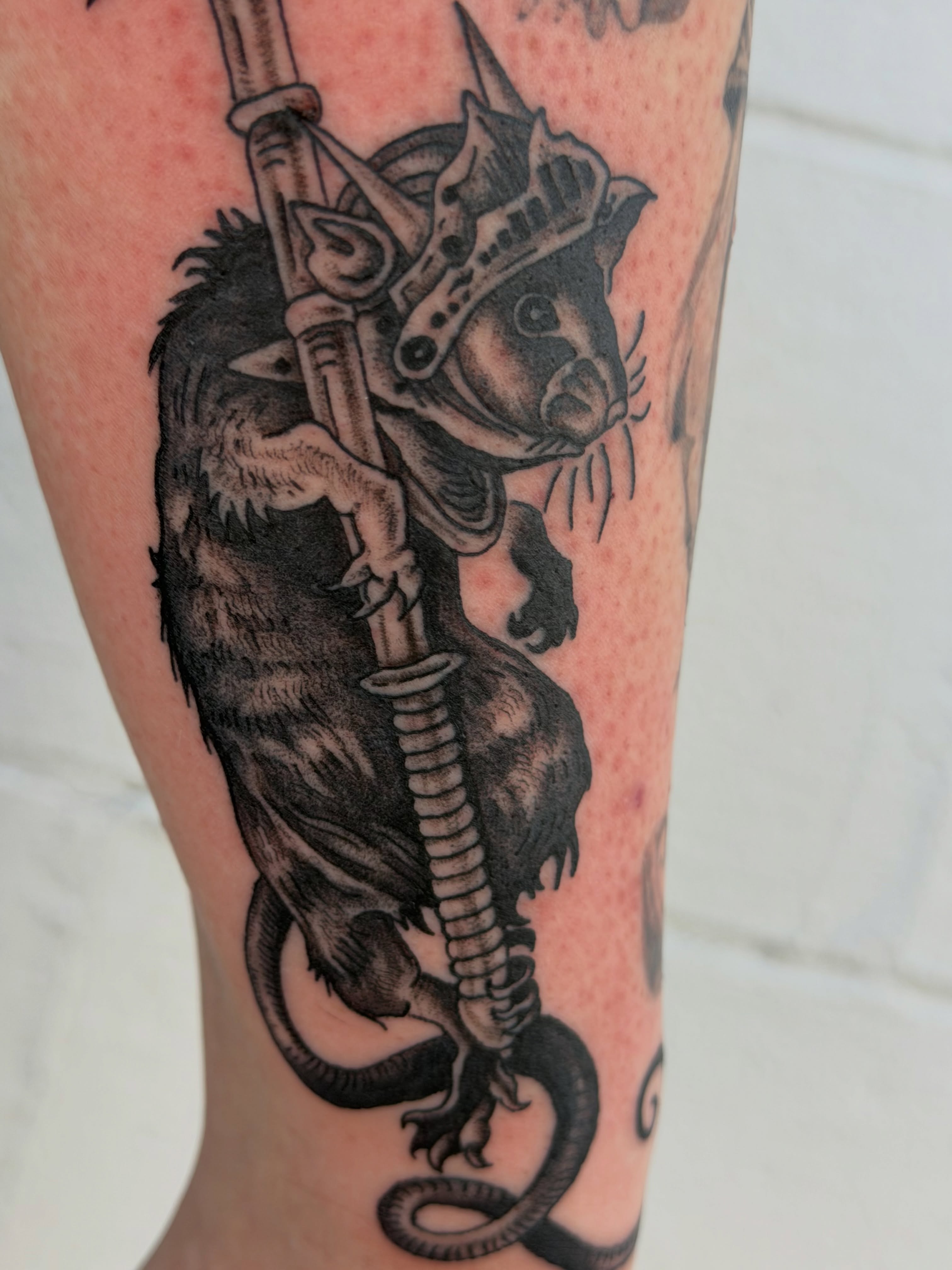 Raccoon warrior realism tattoo on the forearm by Jenna 🖤 Tattoos Denton TX