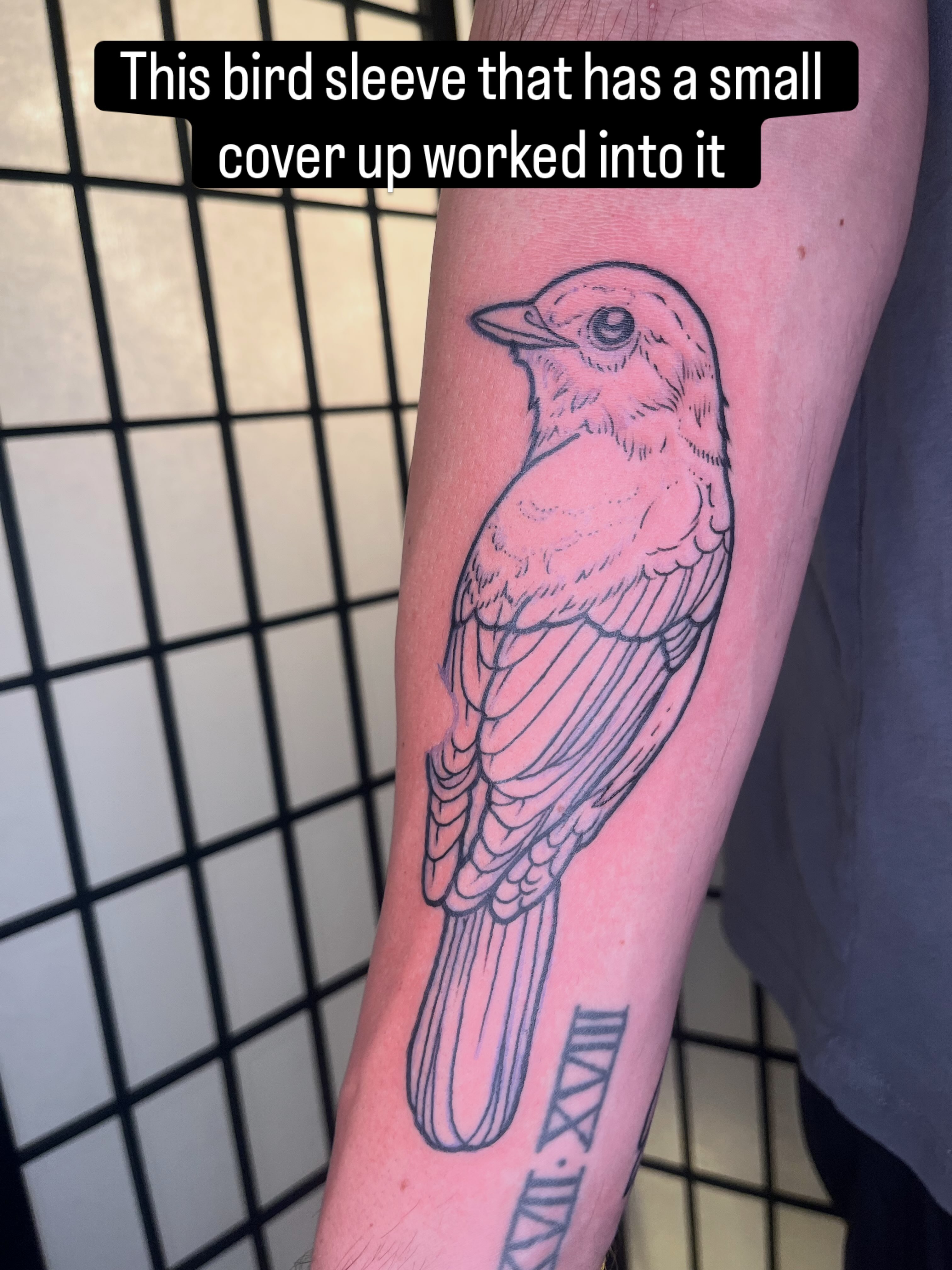 Bird black and grey tattoo on the forearm by Lauryn Dunkle