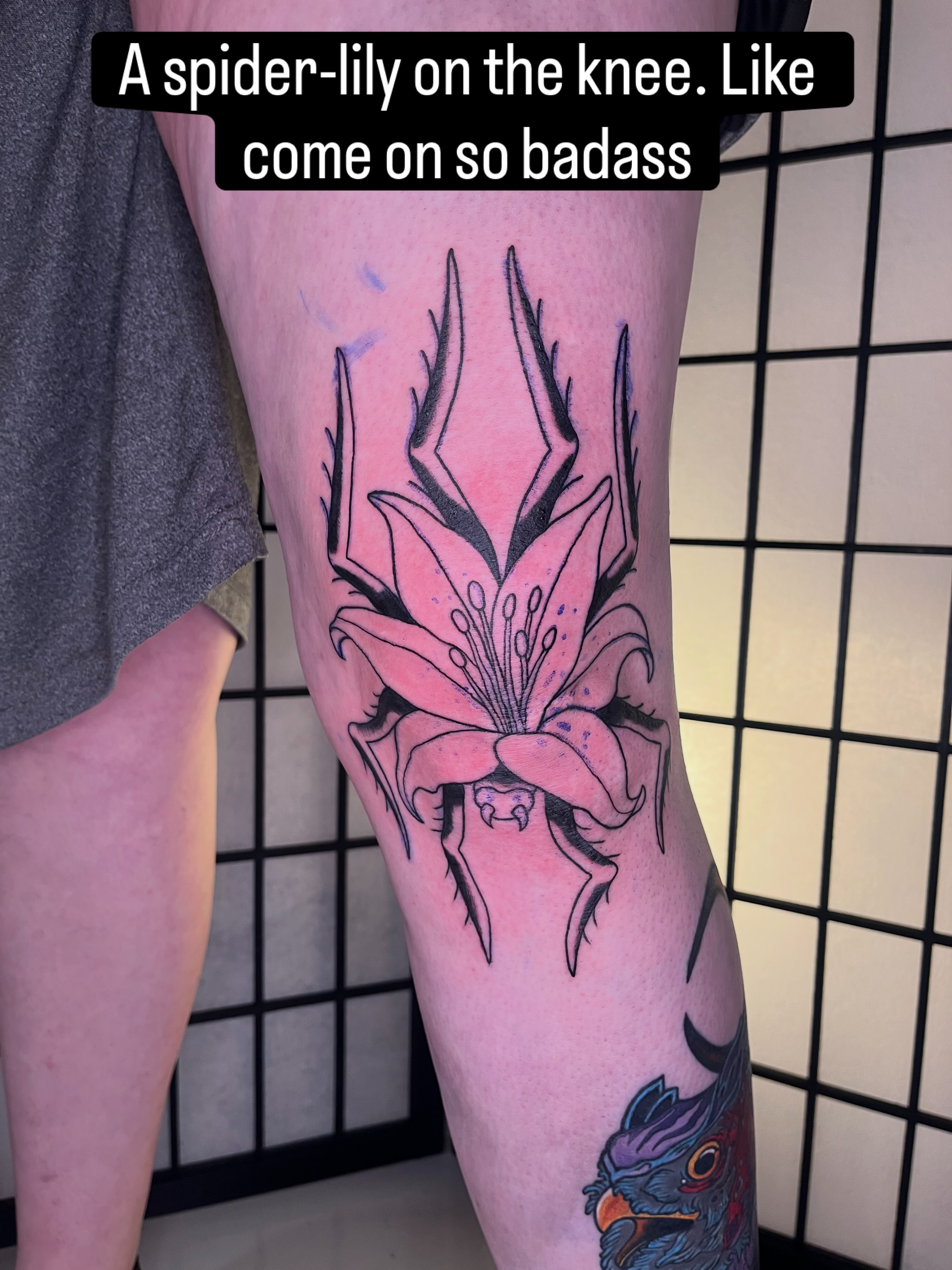 Spider-lily dotwork tattoo on the calf by Lauryn Dunkle