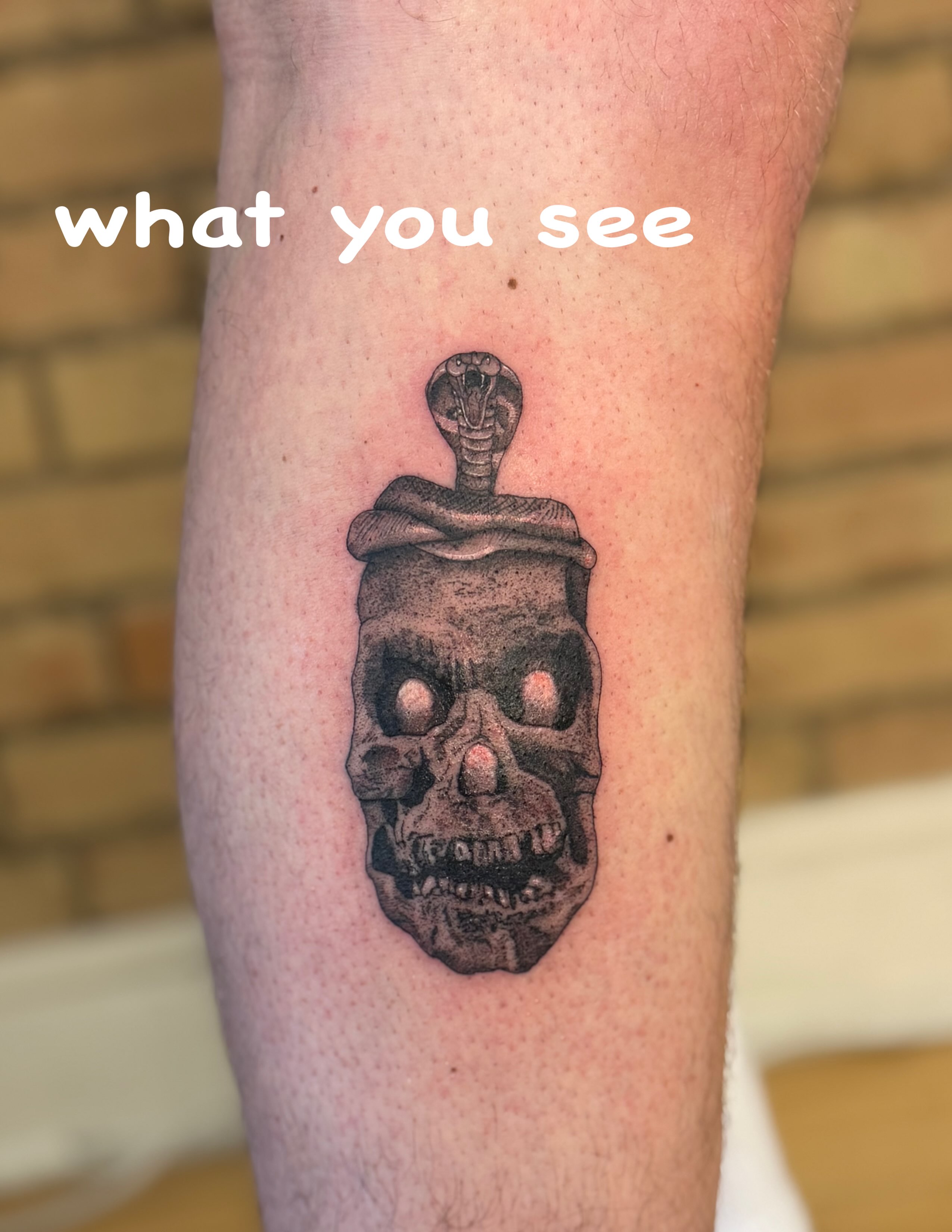 Skull with cobra black and grey tattoo on the forearm by Dre
