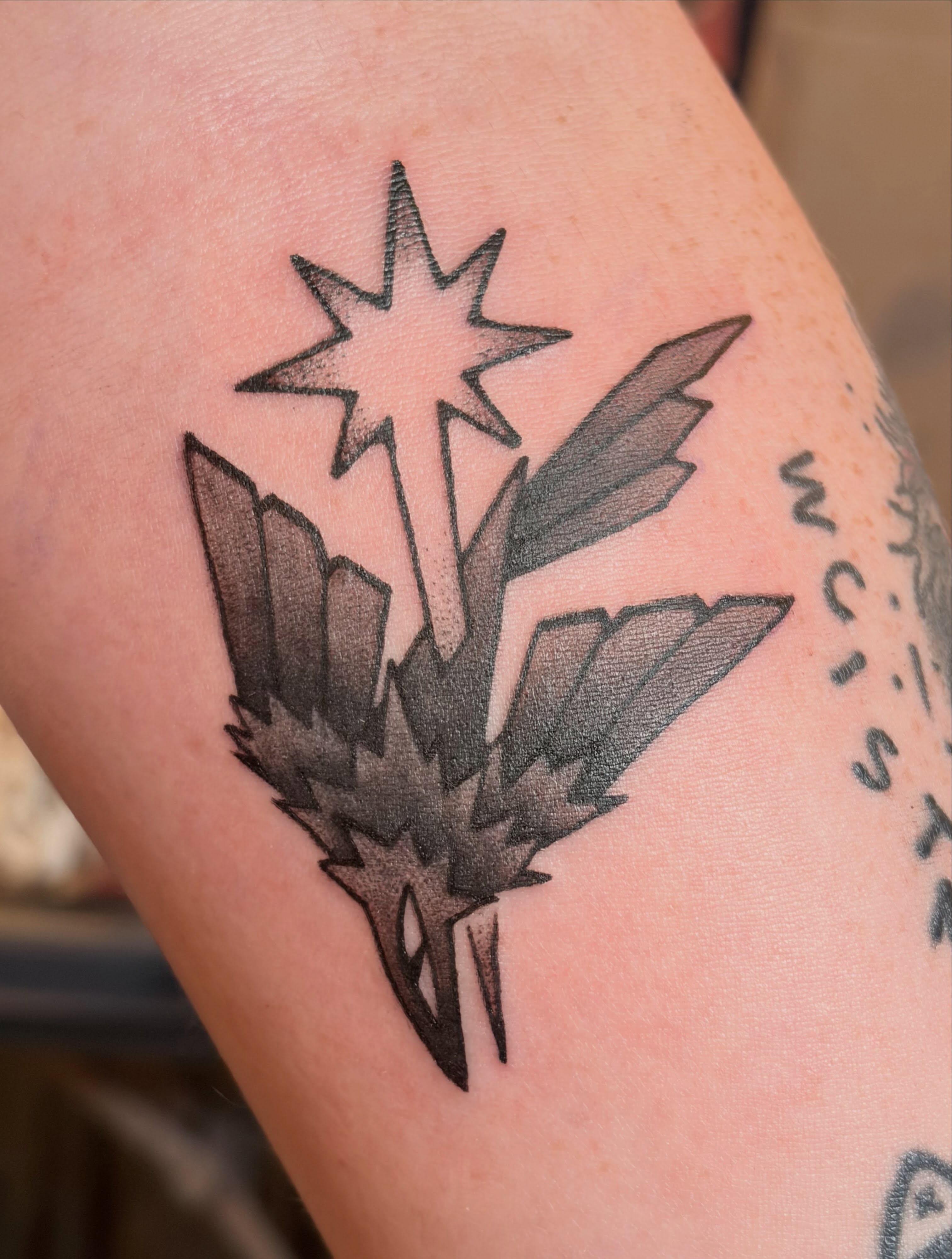Star and feathers black and grey tattoo on the forearm by π»ππππ β½ πΏππππ, Franklin, Tennessee