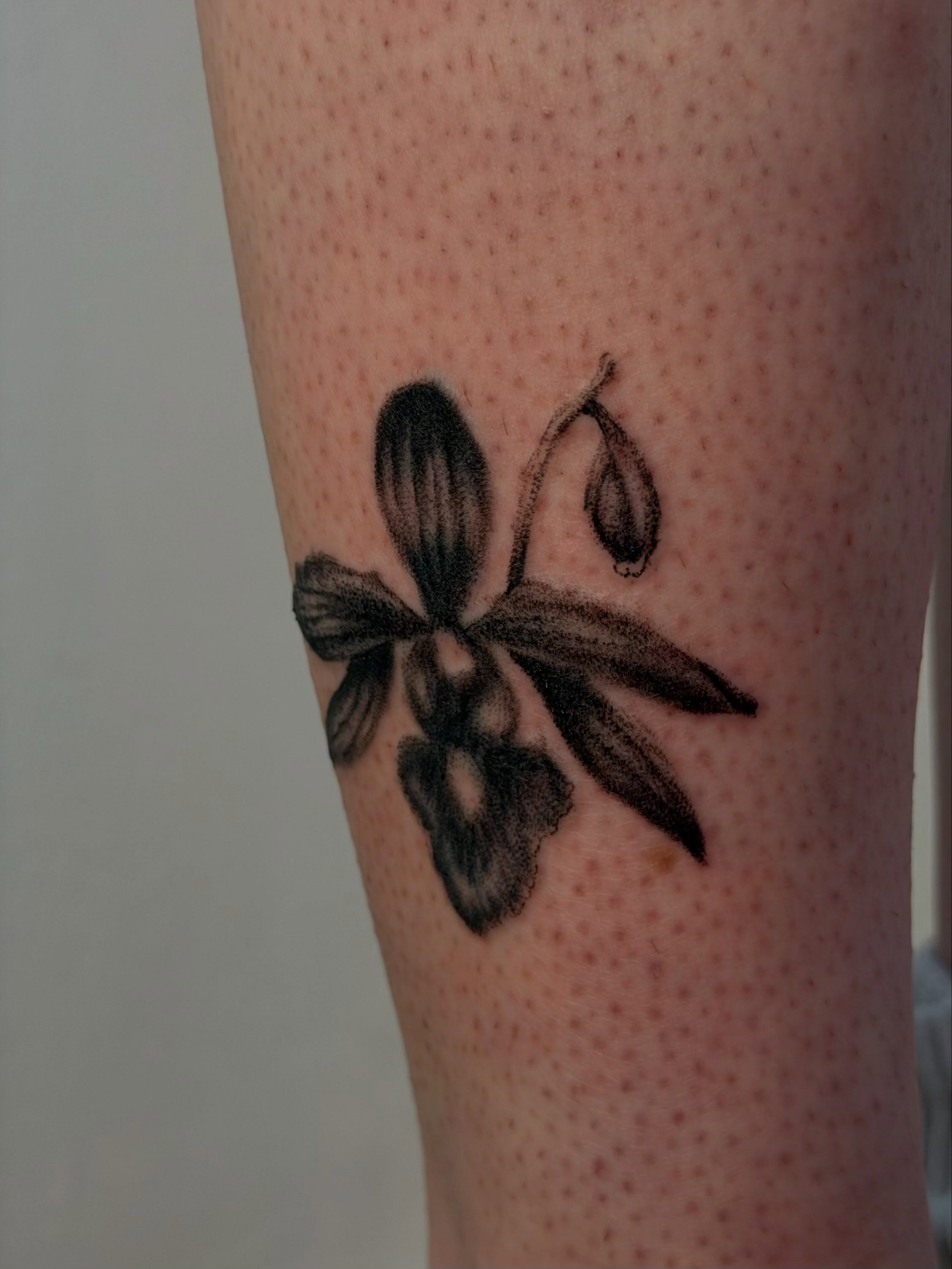 Orchid black and grey tattoo on the forearm by šianca٠࣪ā