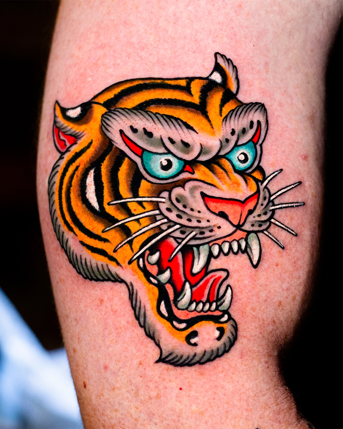 Tiger American traditional tattoo on the forearm by Miguel Comin