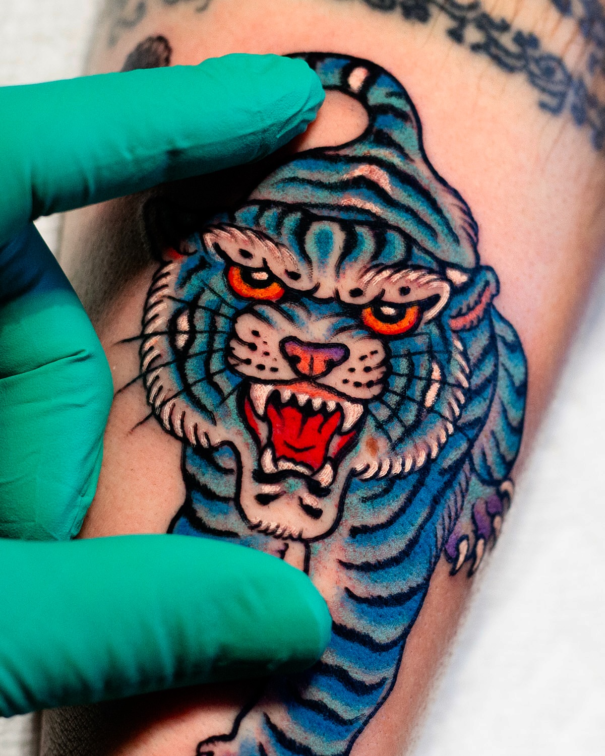 Tiger American traditional tattoo on the forearm by Miguel Comin