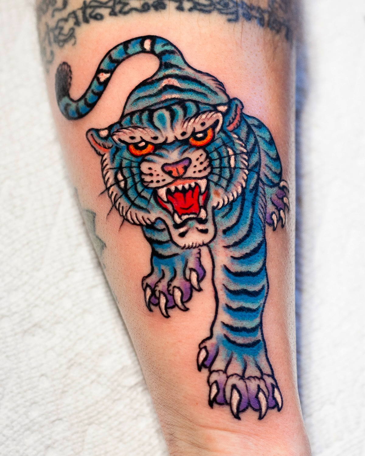 Tiger American traditional tattoo on the forearm by Miguel Comin