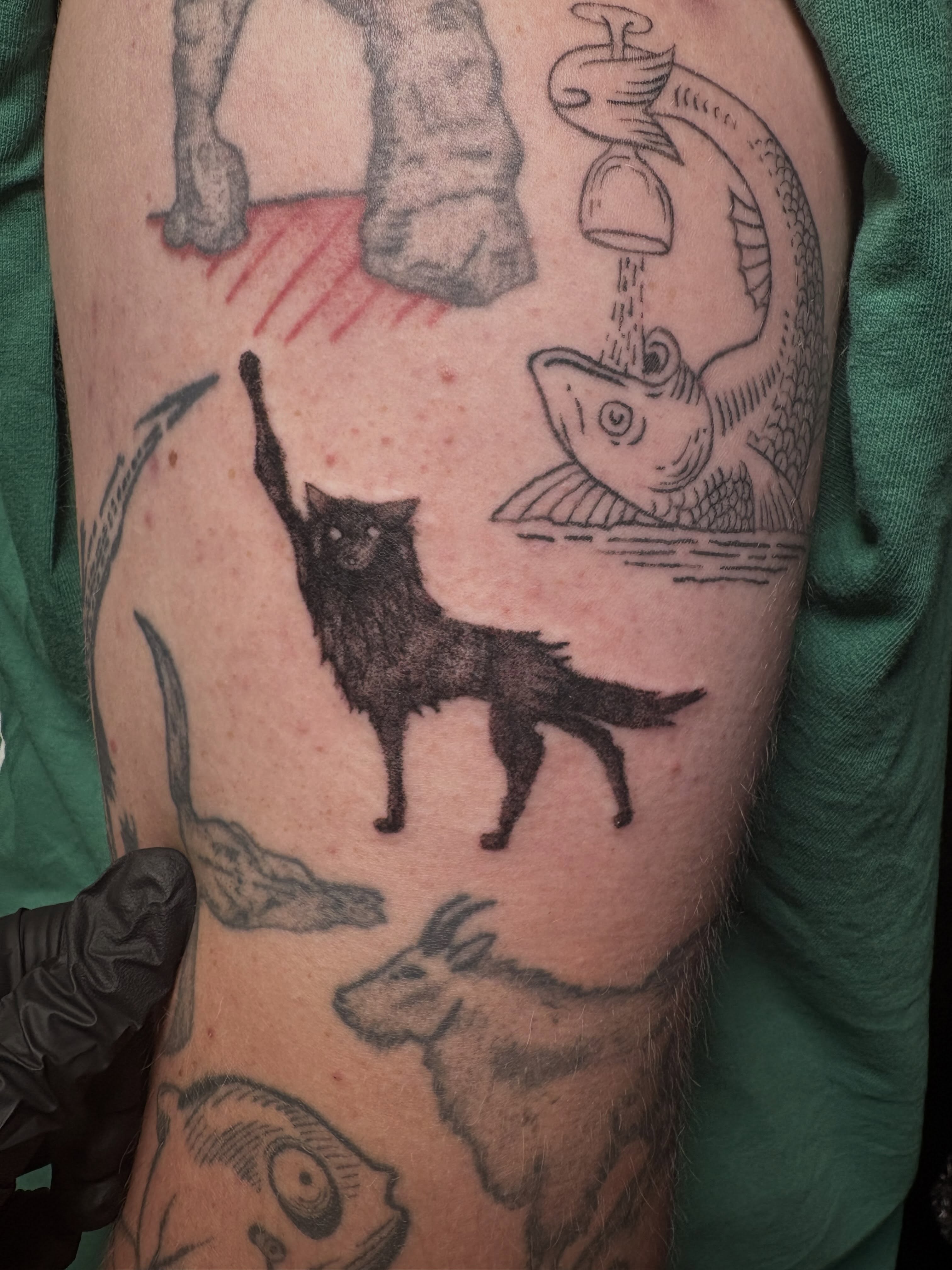 Cat and fish black and grey tattoo on the forearm by Hailee Wallace Brussow
