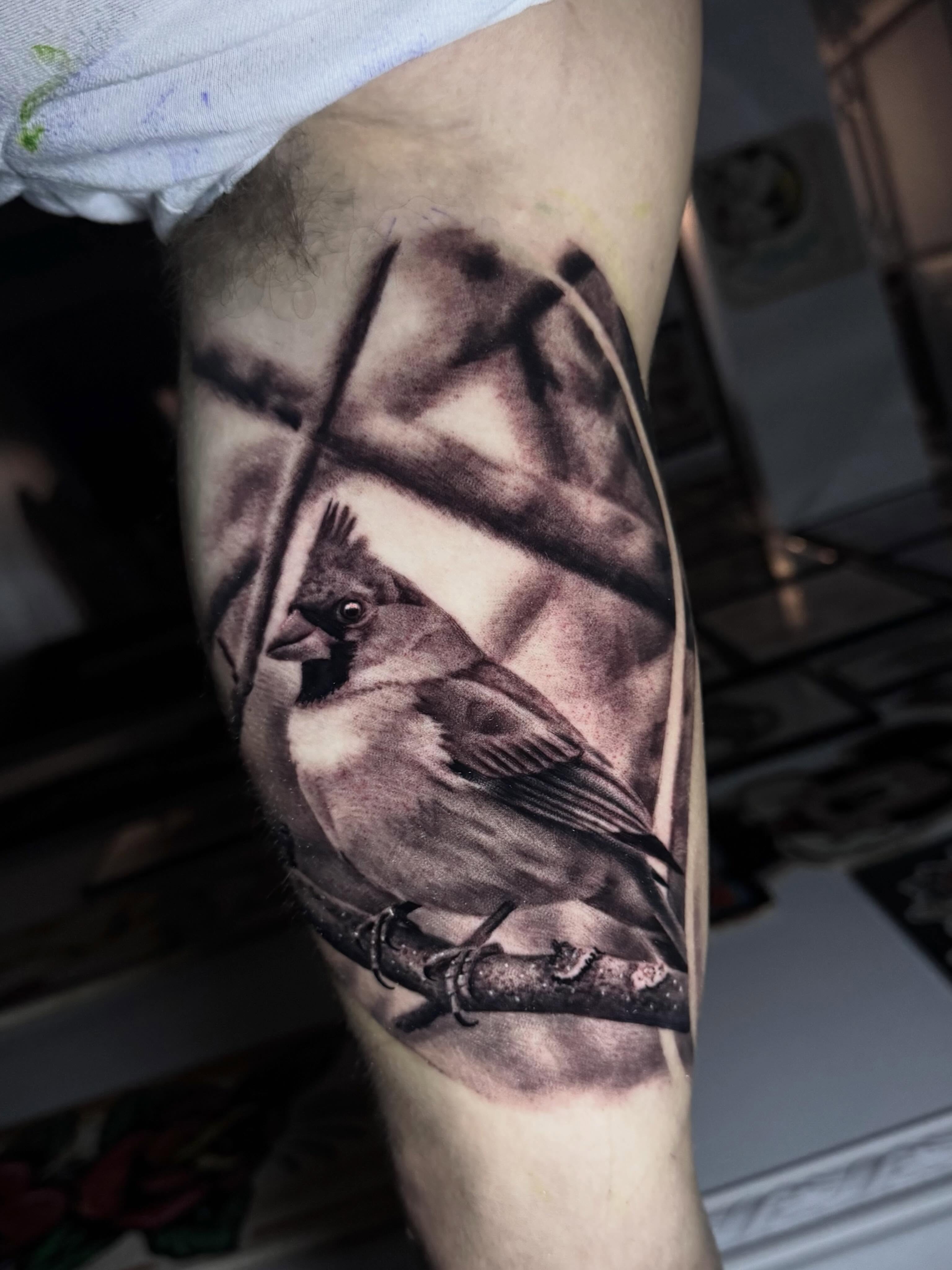Sparrow realism tattoo on the forearm by Tony Garcia