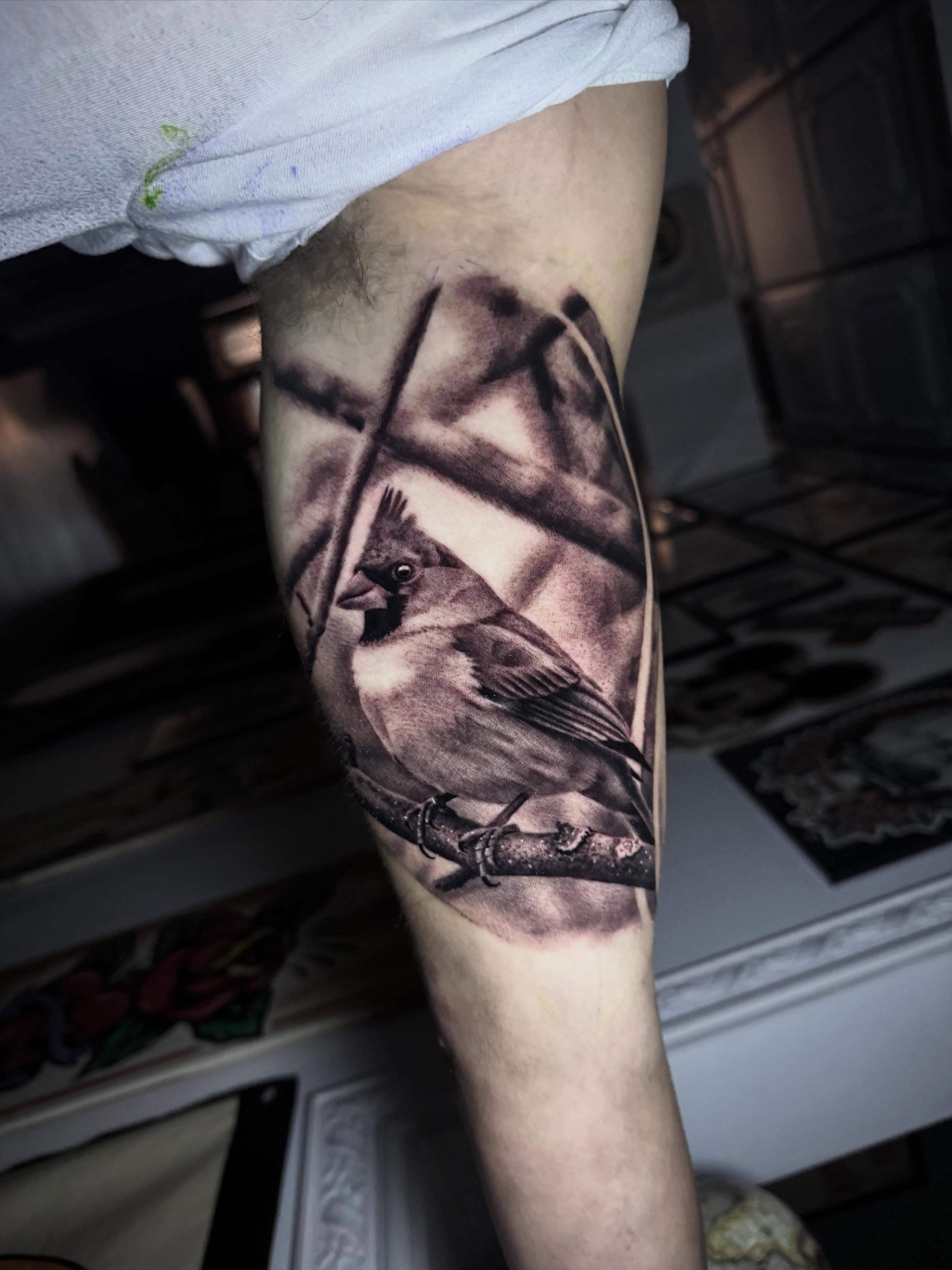Cardinal bird realism tattoo on the forearm by Tony Garcia