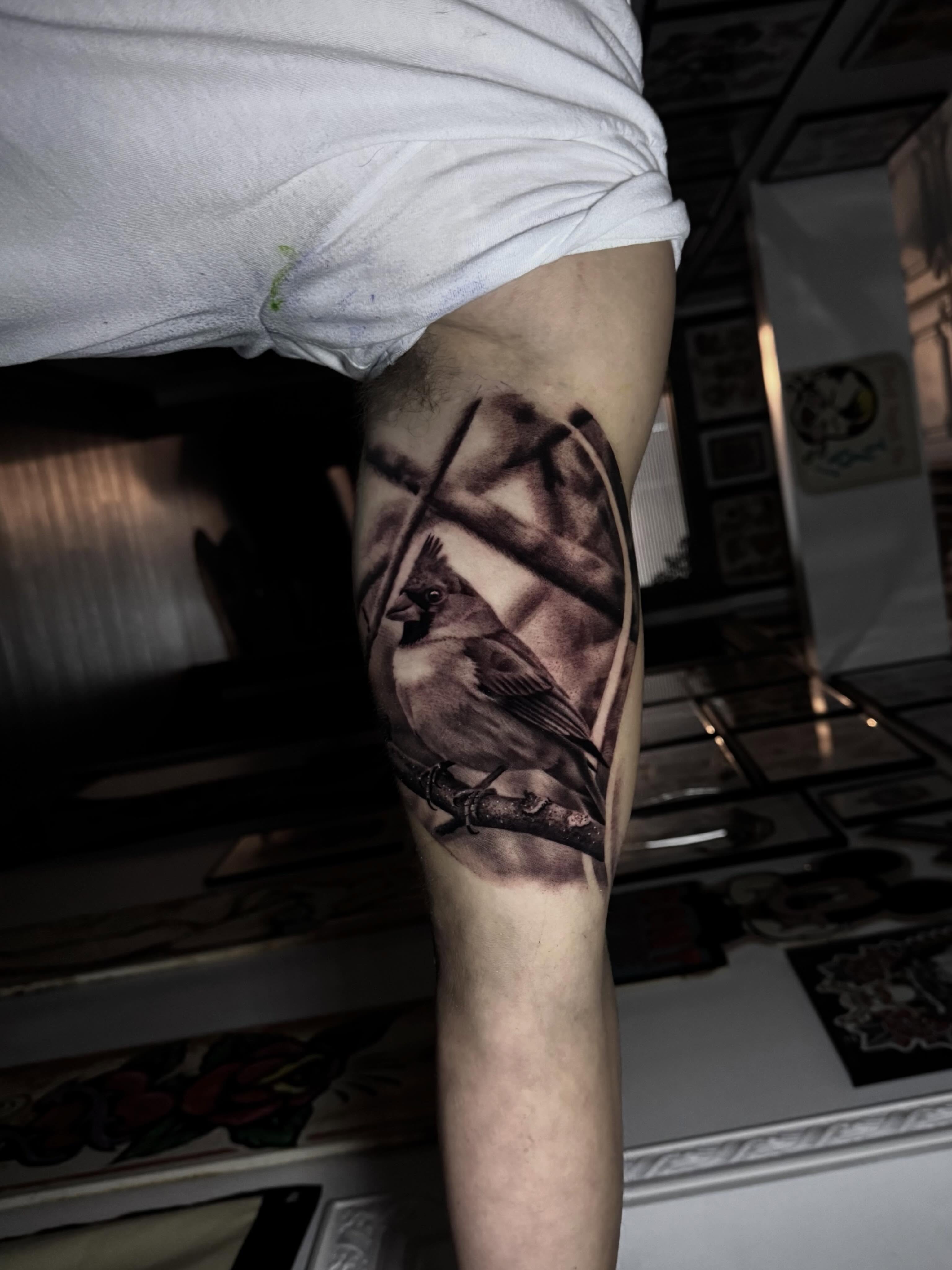 Bird realism tattoo on the forearm by Tony Garcia