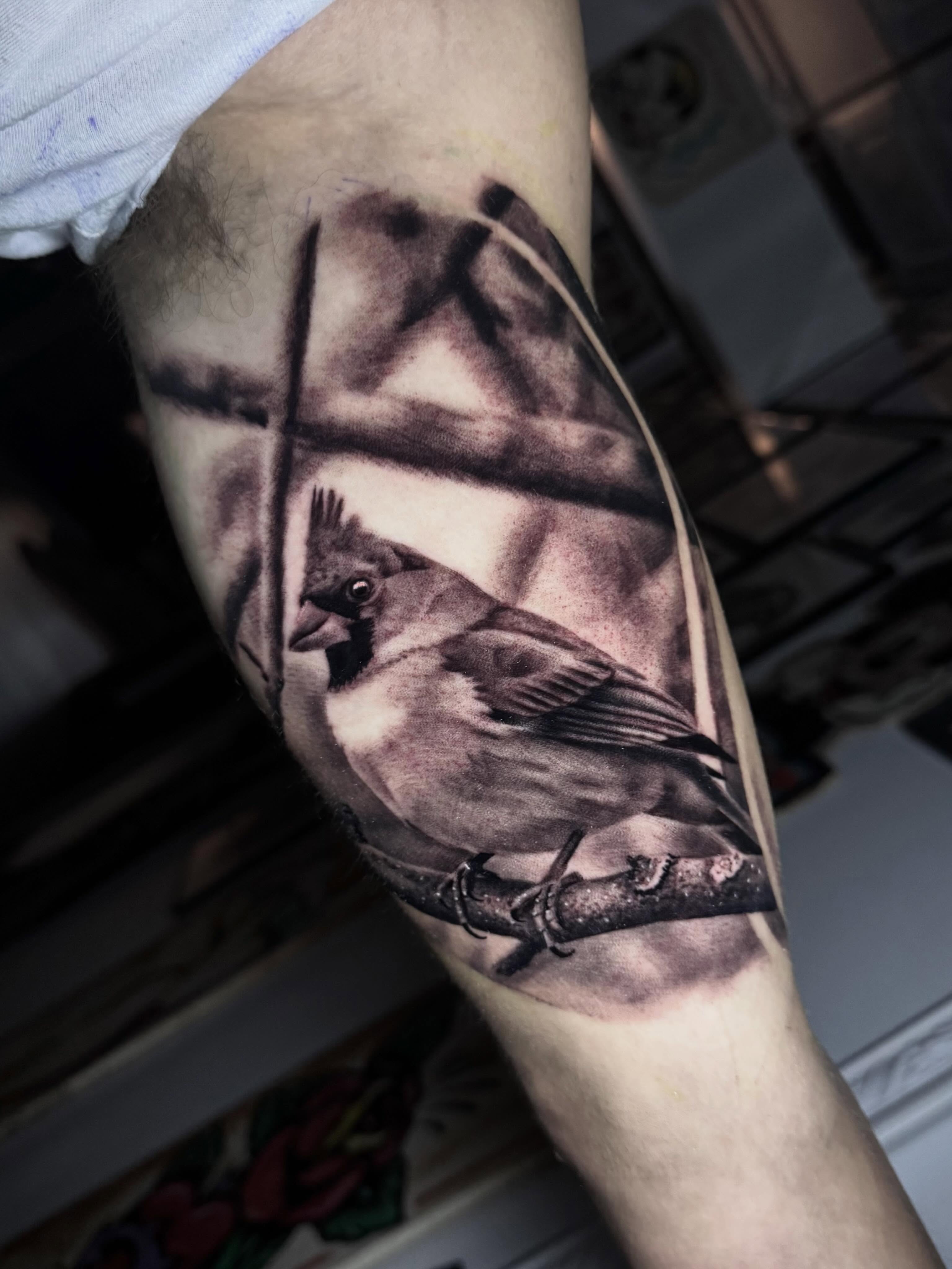 Bird realism tattoo on the forearm by Tony Garcia