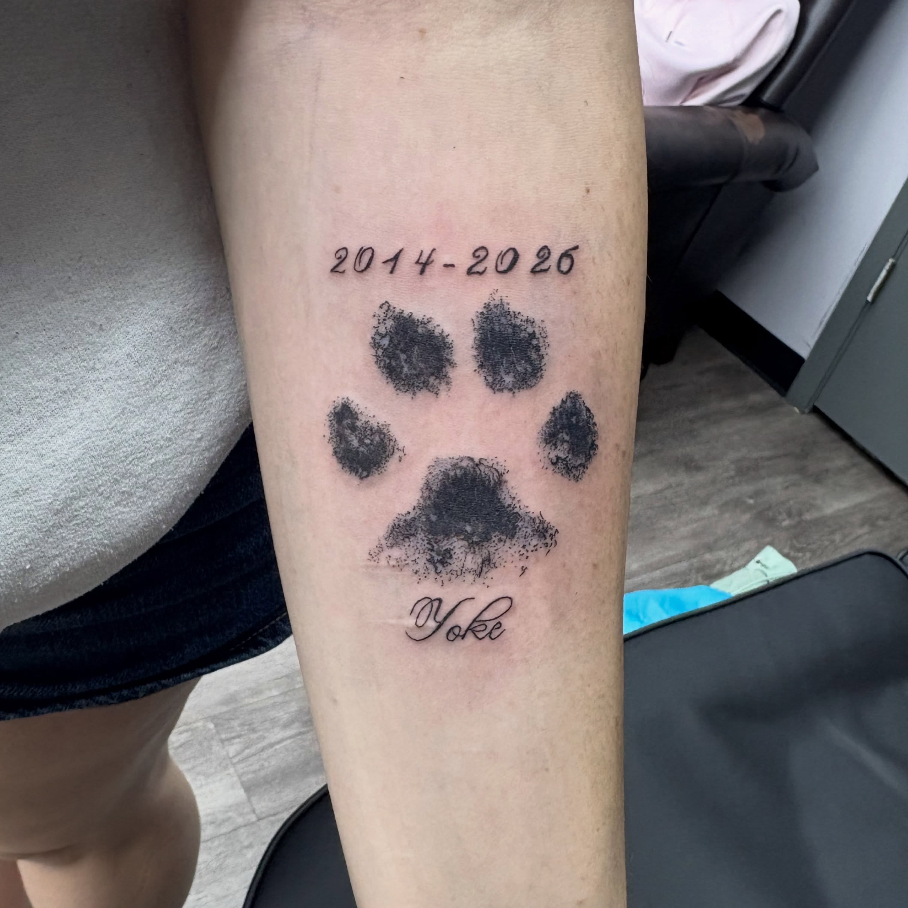 Paw print dotwork tattoo on the forearm by Joe ⋆₊⋆☢︎⁺₊⚠︎₊⋆