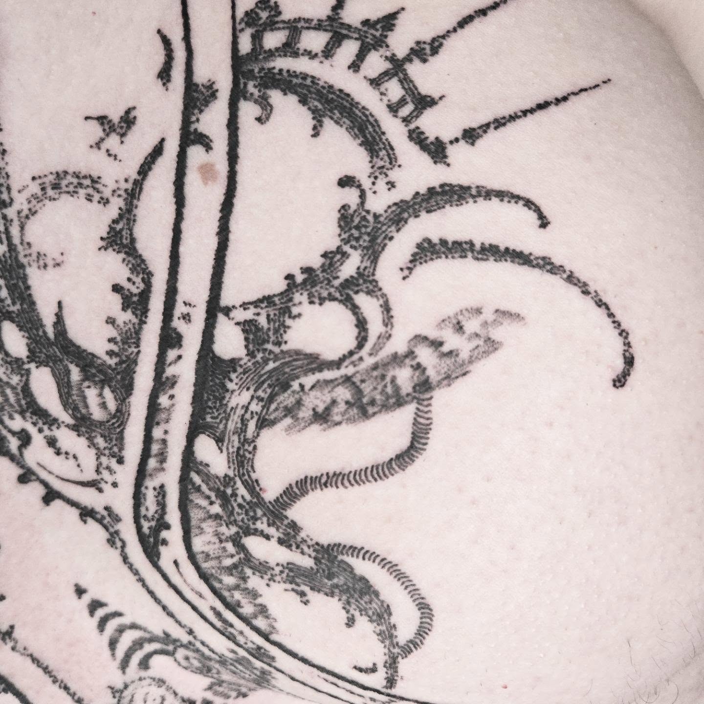 Serpent dotwork tattoo by ⚙️ 𝔄𝔞𝔯𝔬𝔫 𝔇. ⚙️