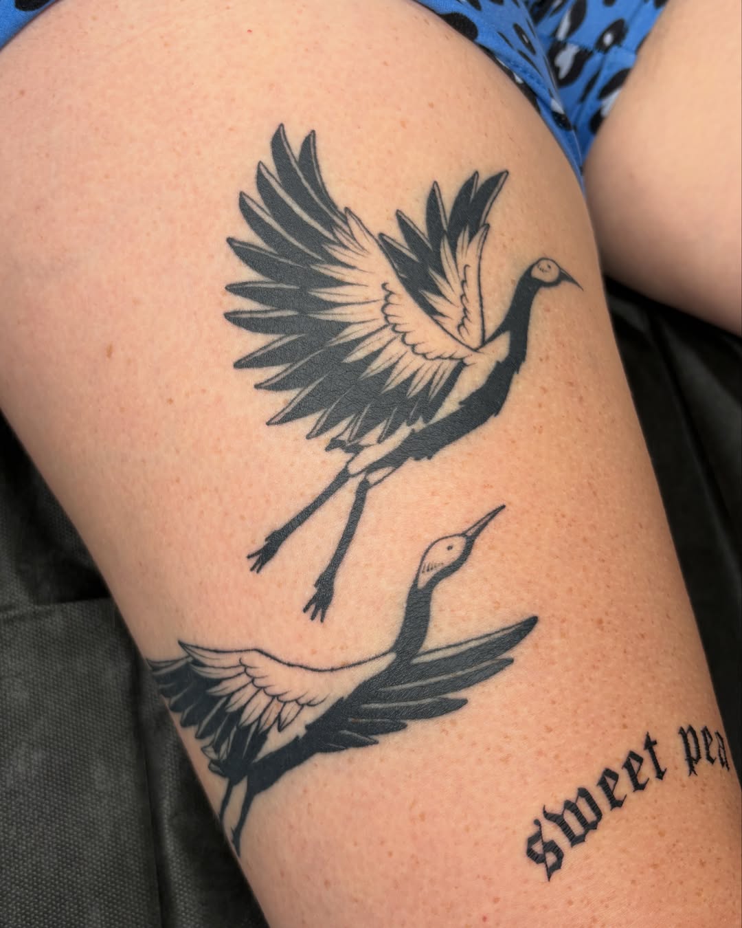Cranes black and grey tattoo on the thigh by Kuya, Berkeley, California