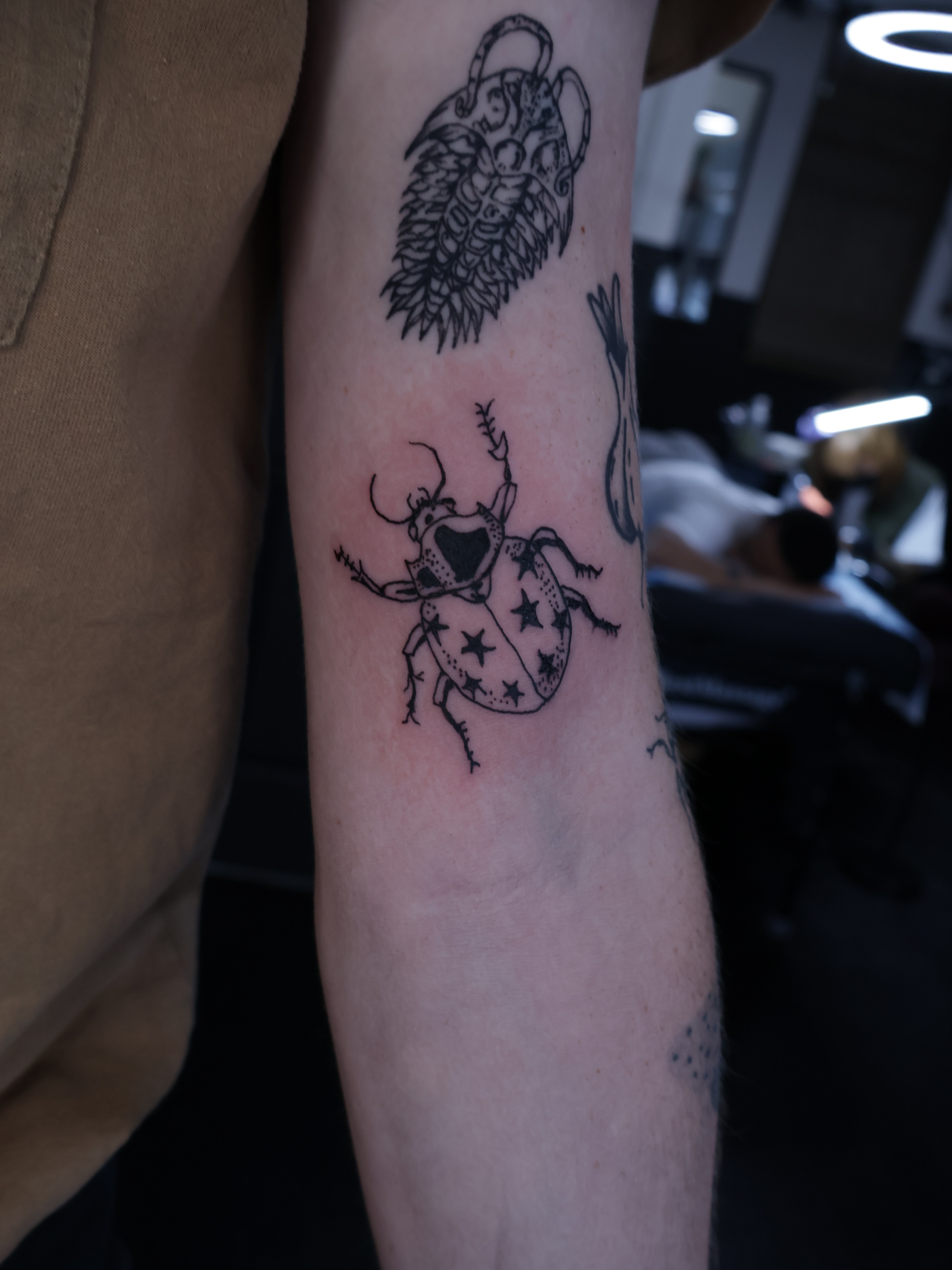Beetle with stars black and grey tattoo on the forearm by Denis Du Preez, East Williamsburg, Brooklyn