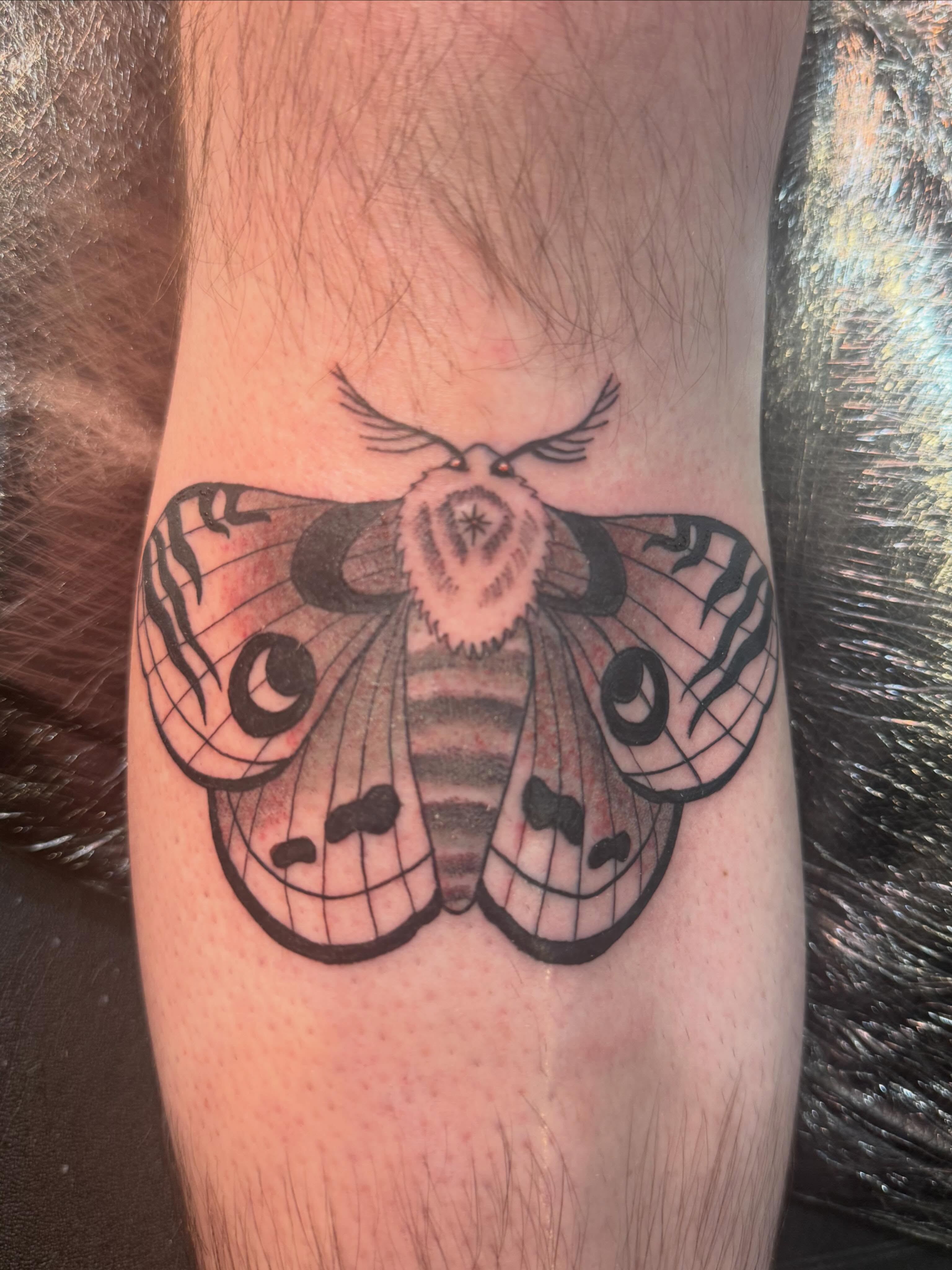 Moth black and grey tattoo on the forearm by Kai