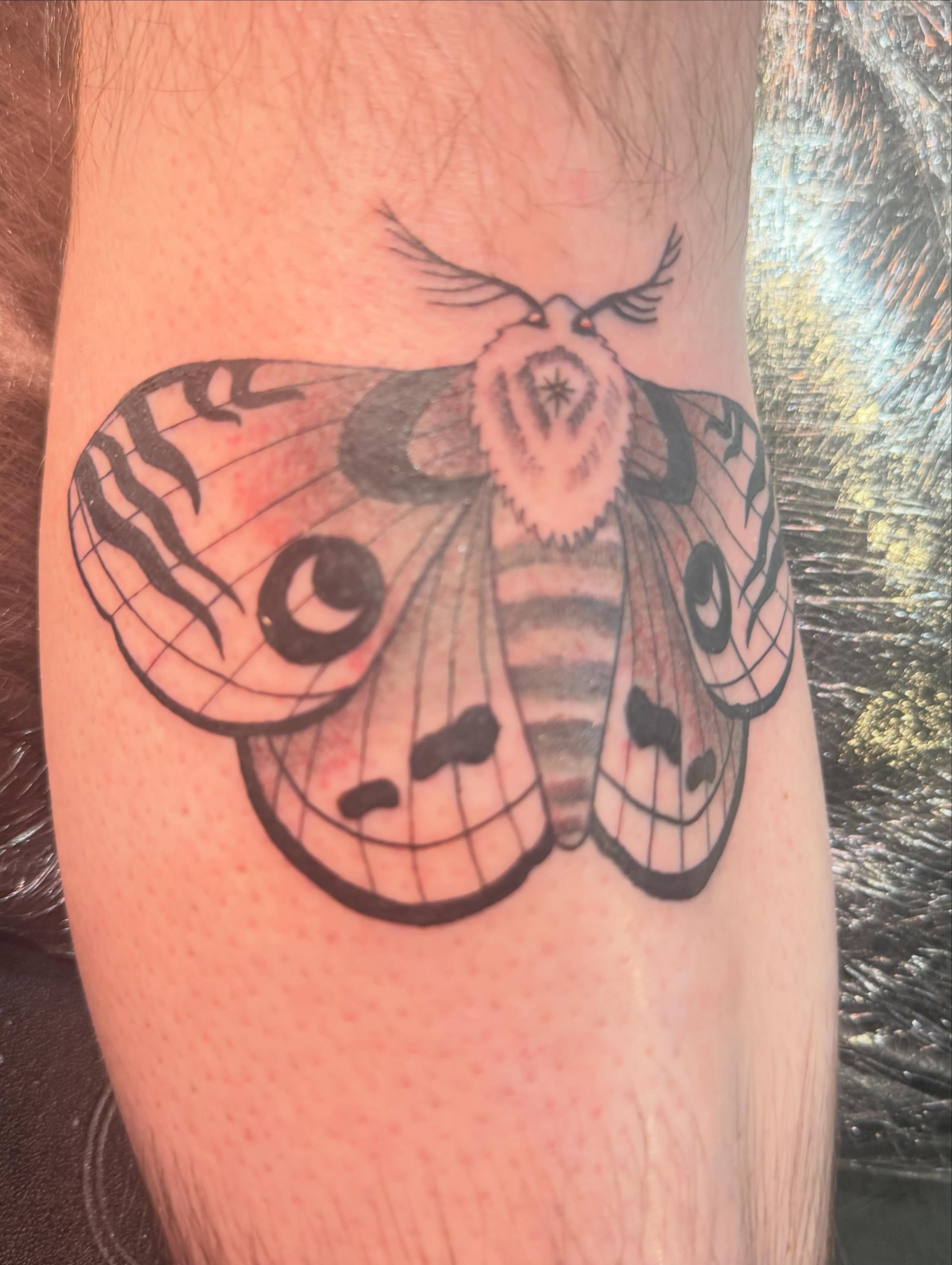 Moth black and grey tattoo on the forearm by Kai