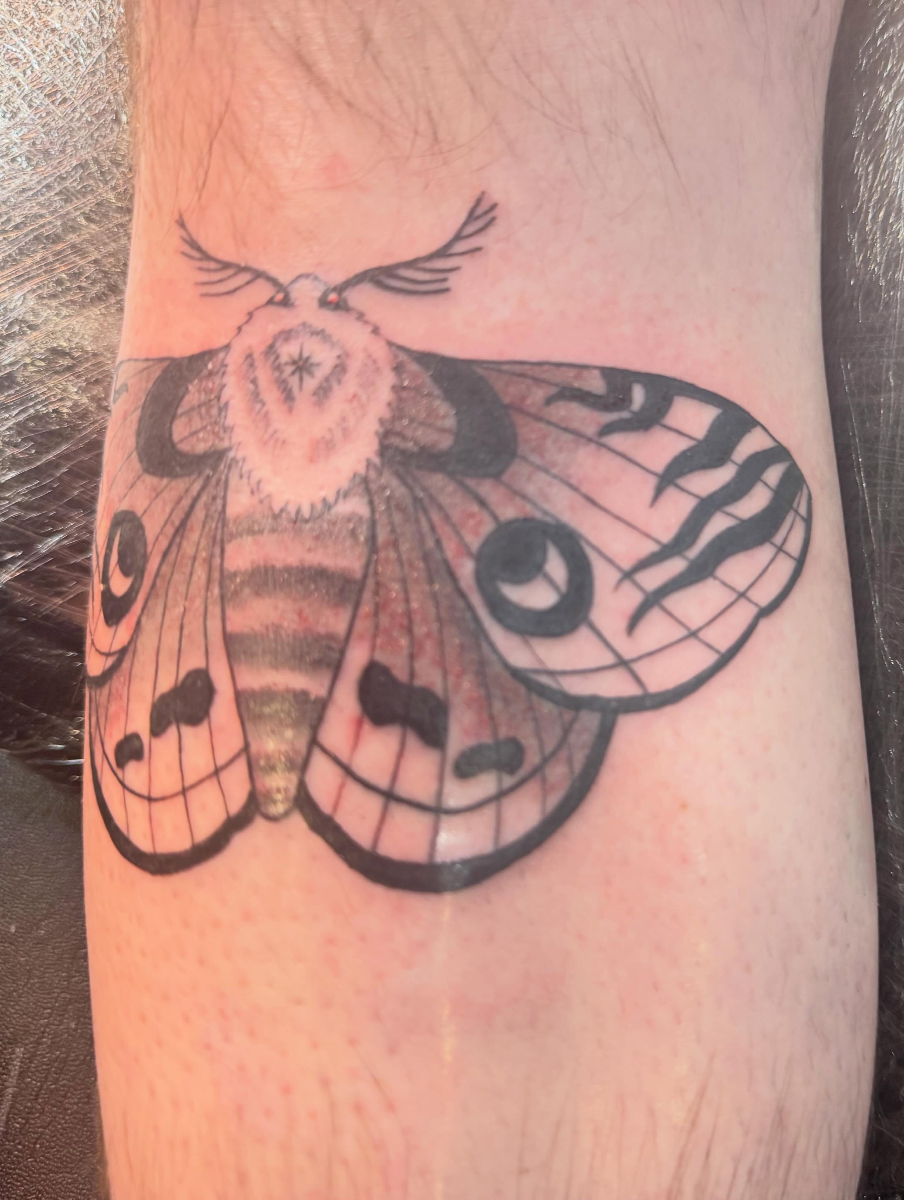 Moth black and grey tattoo on the forearm by Kai